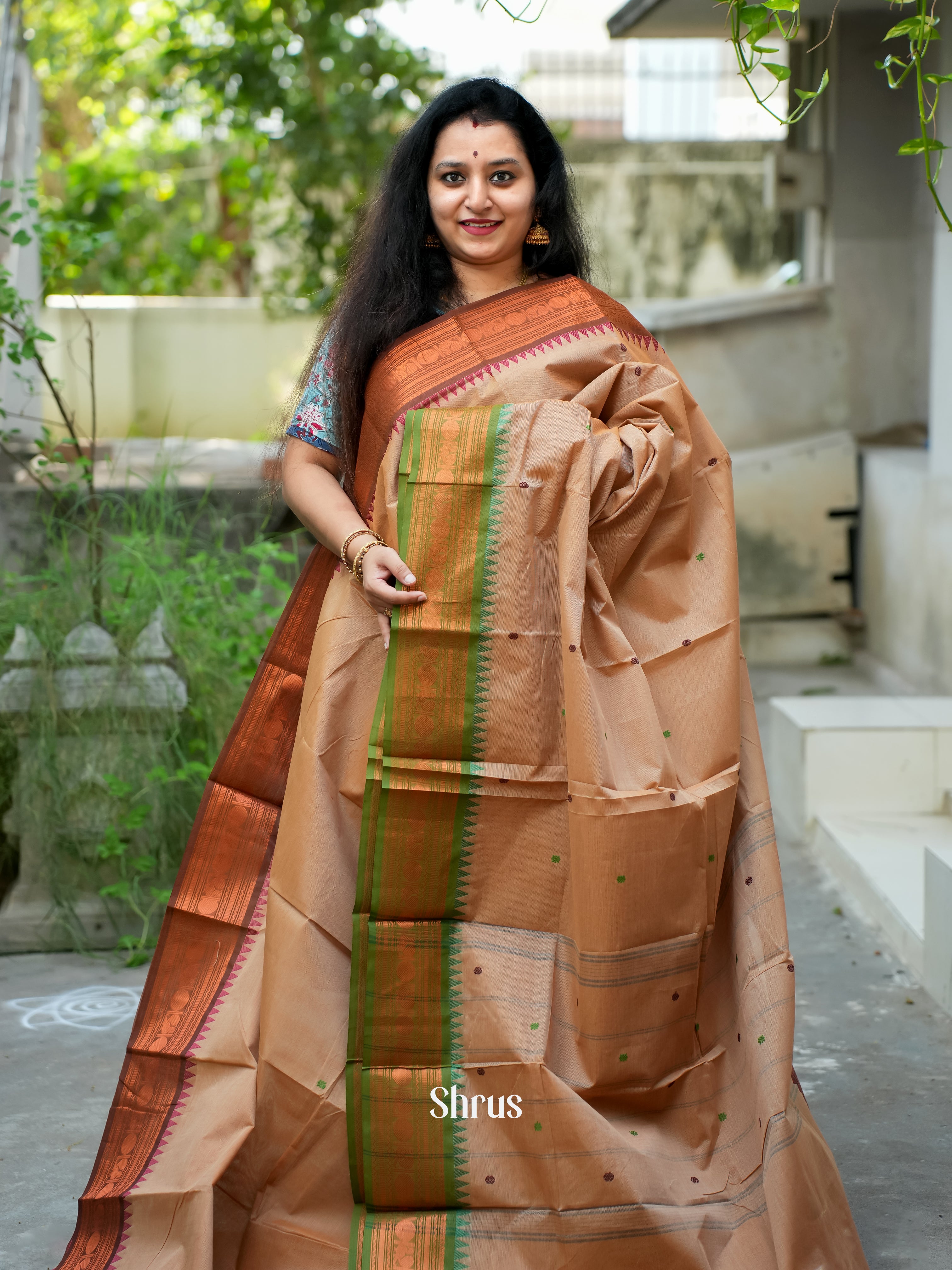 Dusty Brown & Green - Chettinad Cotton Saree - Shop on ShrusEternity.com