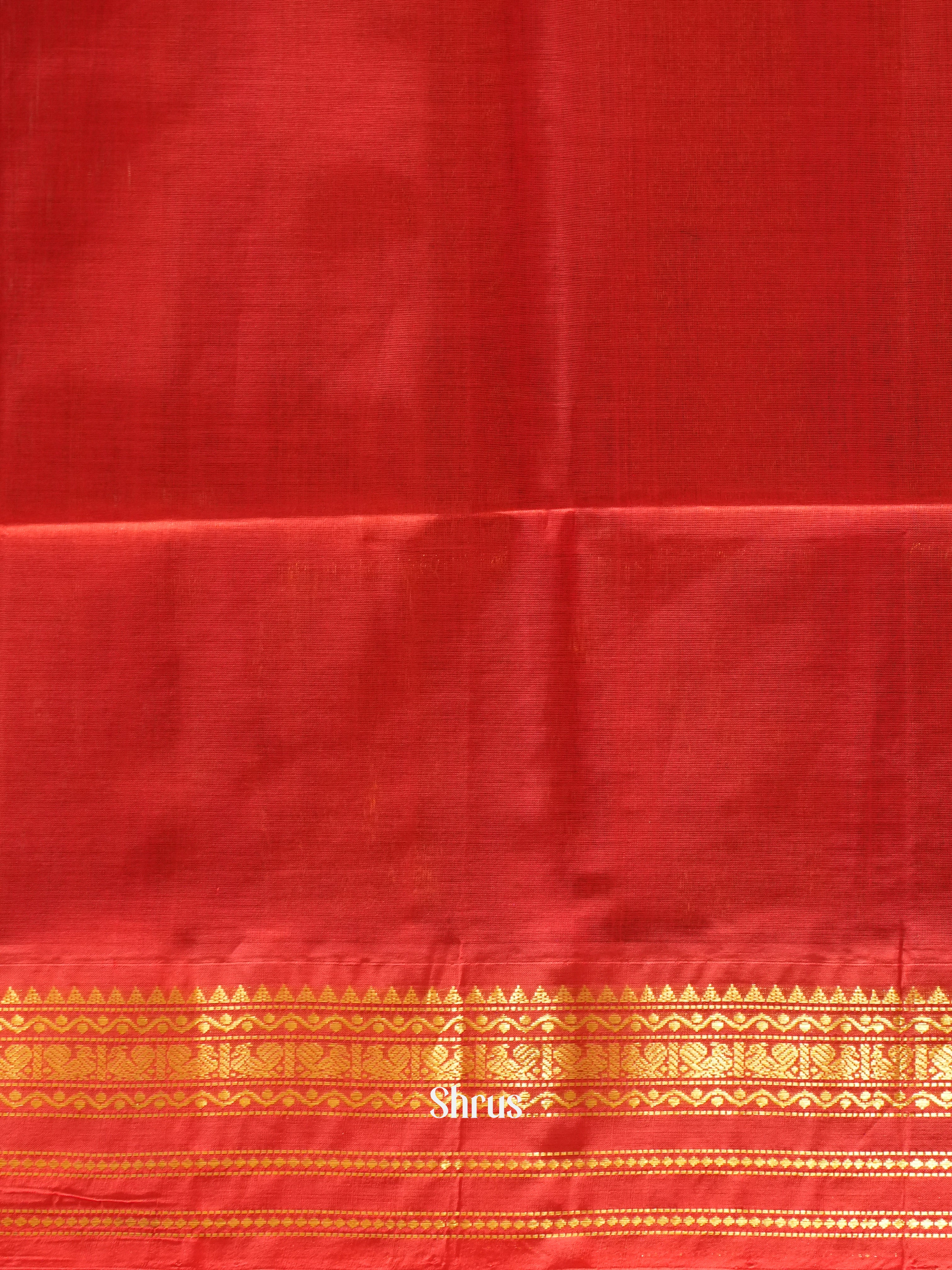 Navy Blue & Red- Silk Cotton Saree - Shop on ShrusEternity.com