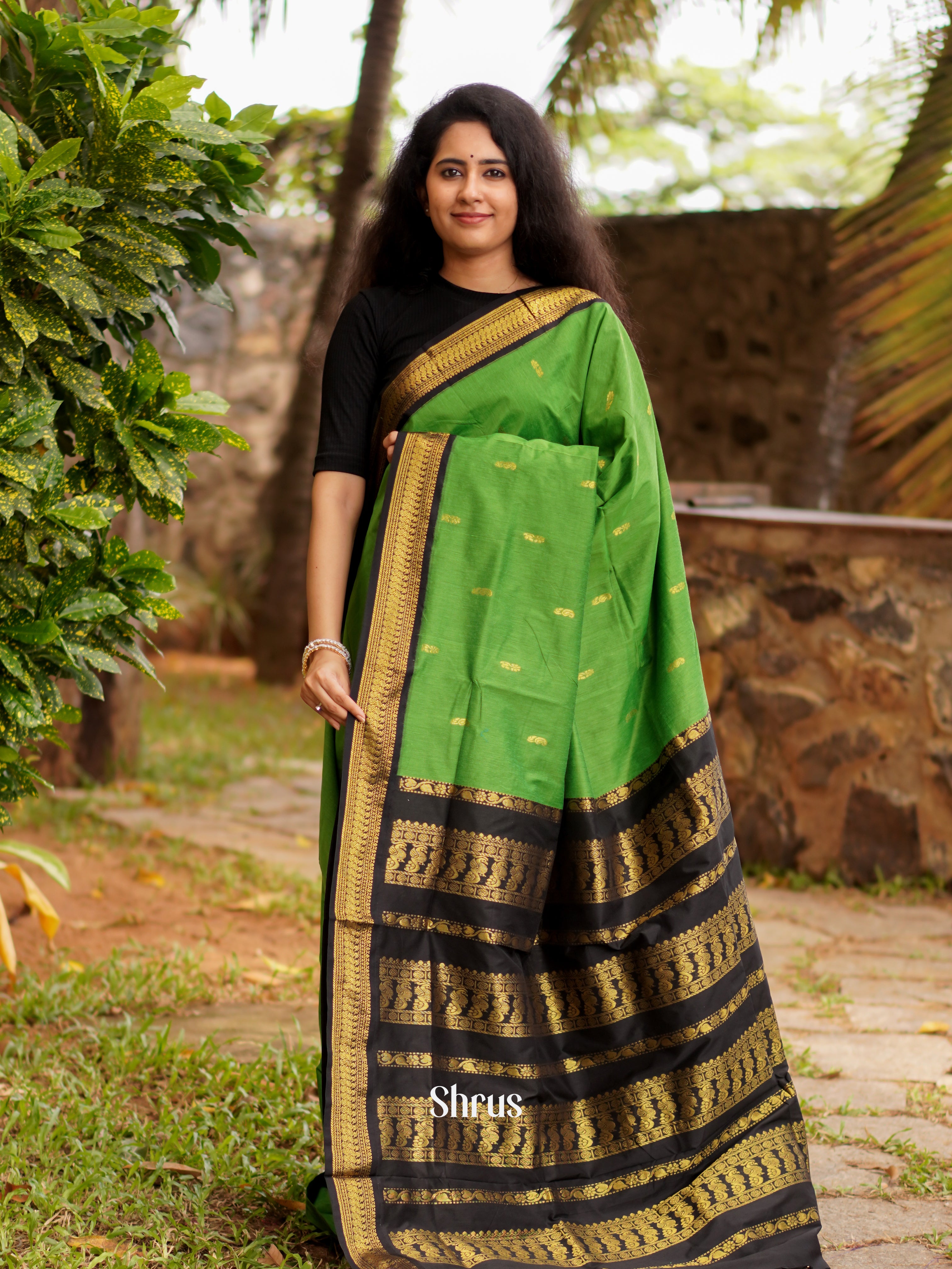Light Green & Black - Kalyani Cotton Saree - Shop on ShrusEternity.com