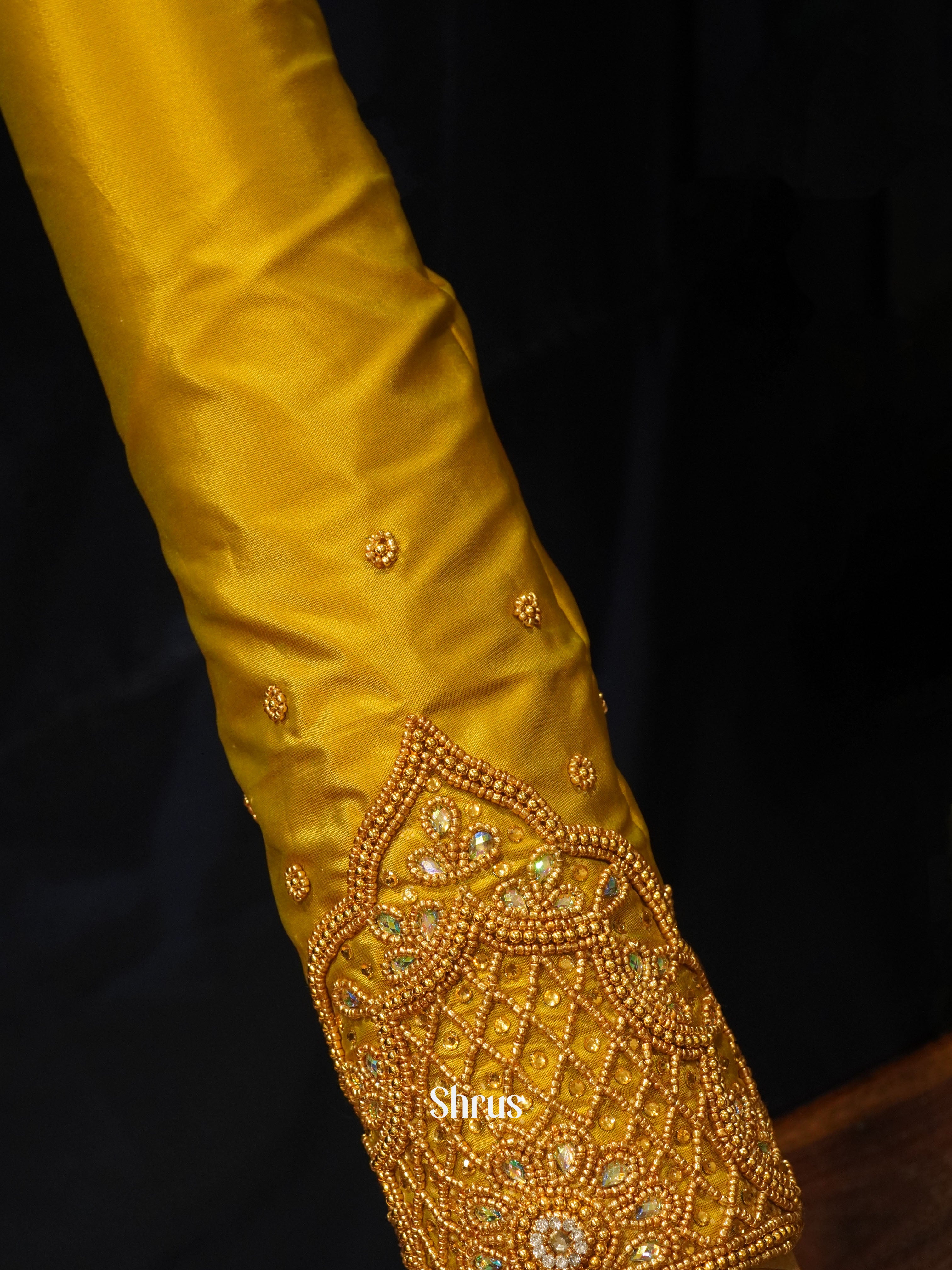 CES24001 -Aari Blouse - Shop on ShrusEternity.com