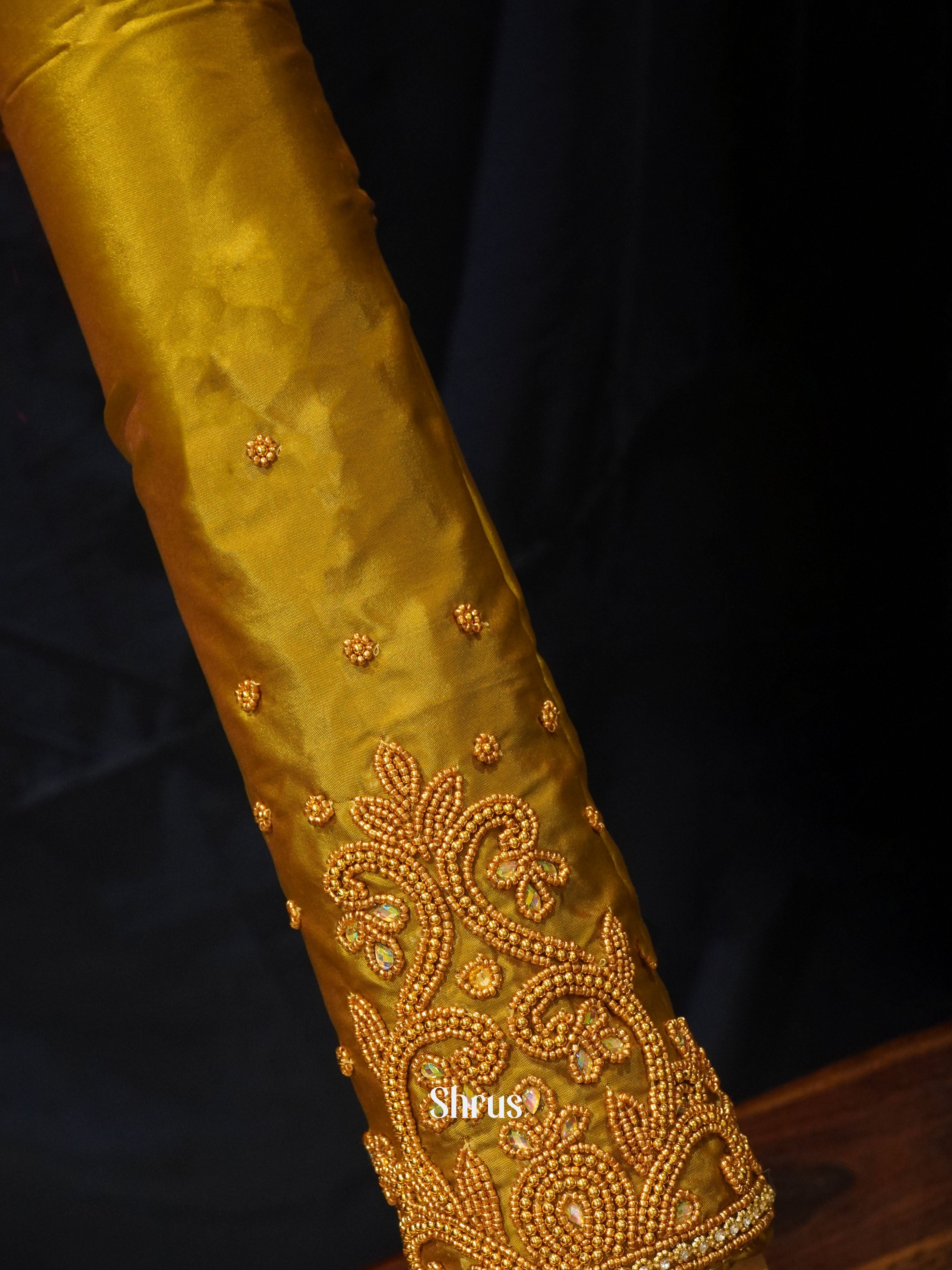 CES24005 -Aari Blouse - Shop on ShrusEternity.com