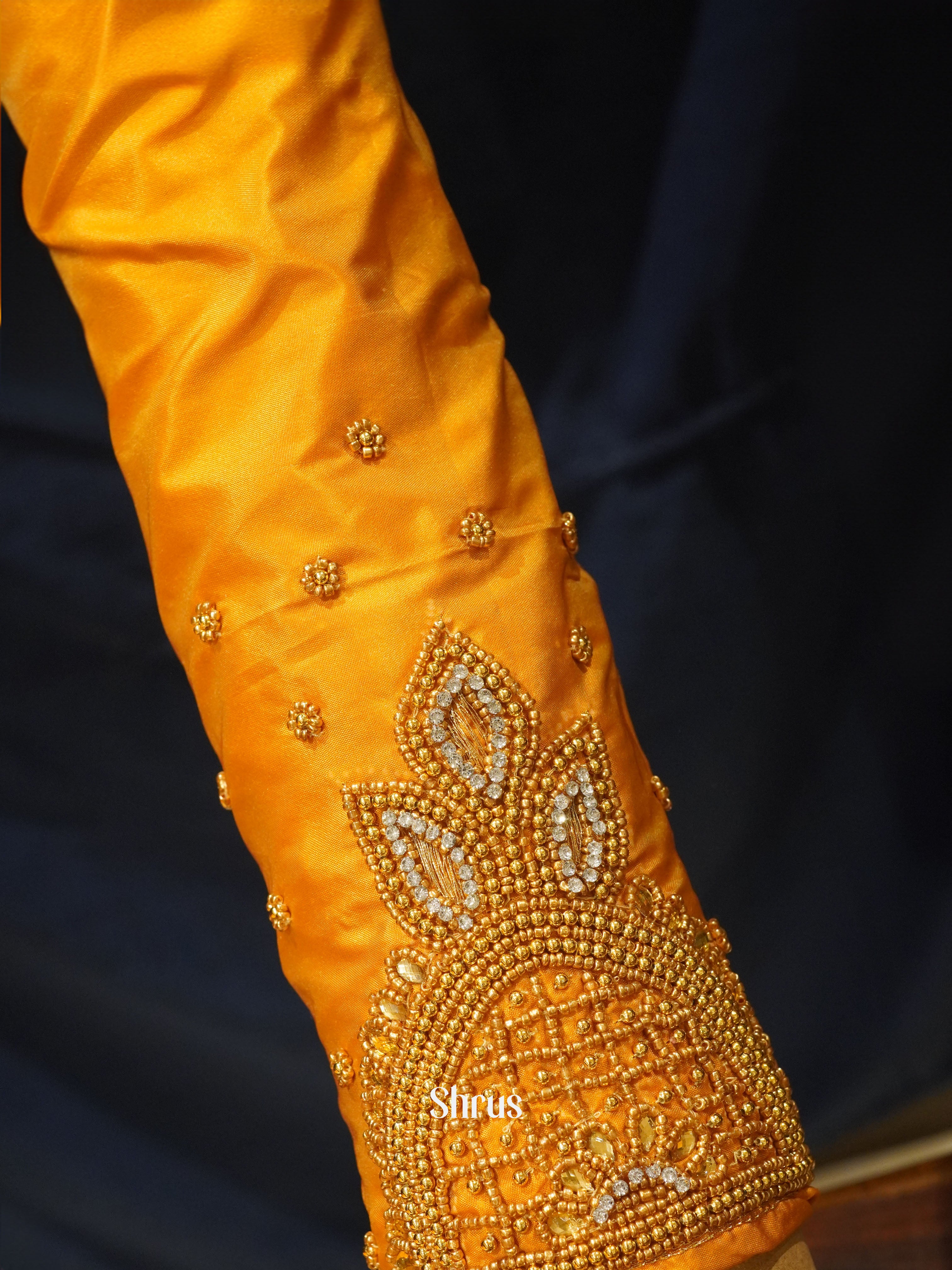 CES24006 -Aari Blous - Shop on ShrusEternity.com