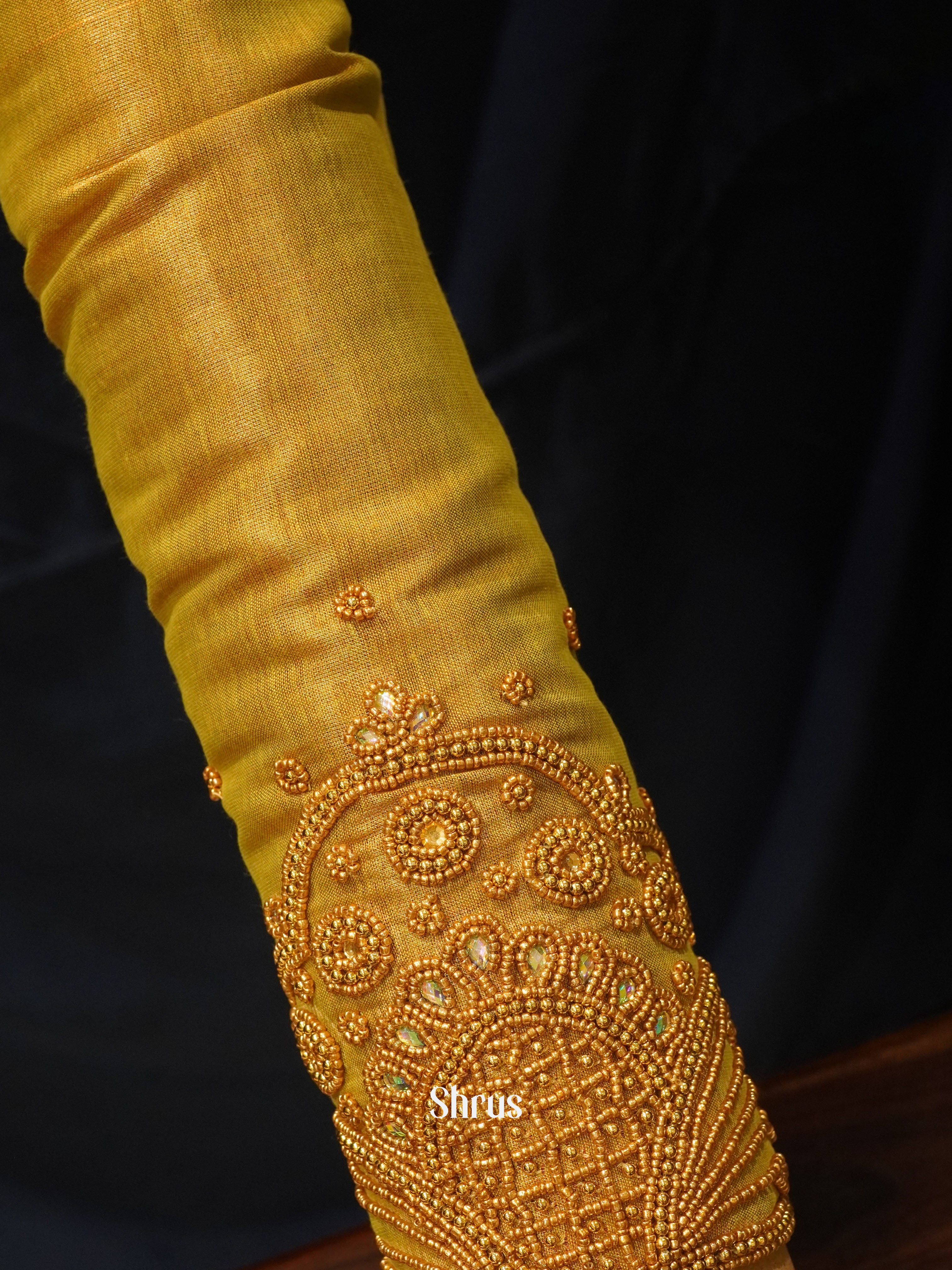 CES24062 -Aari Blous - Shop on ShrusEternity.com