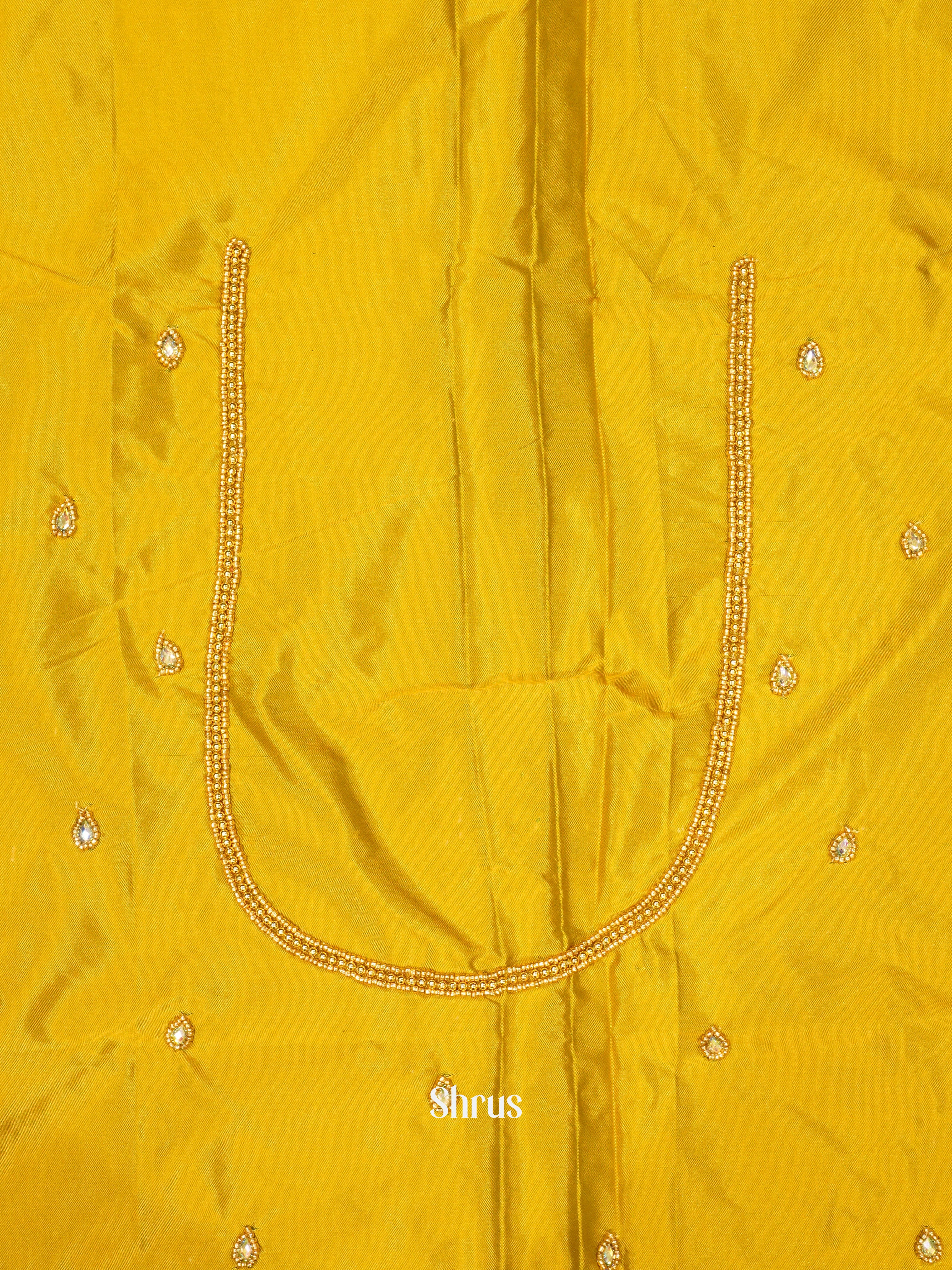 CES24144 -Aari Blous - Shop on ShrusEternity.com