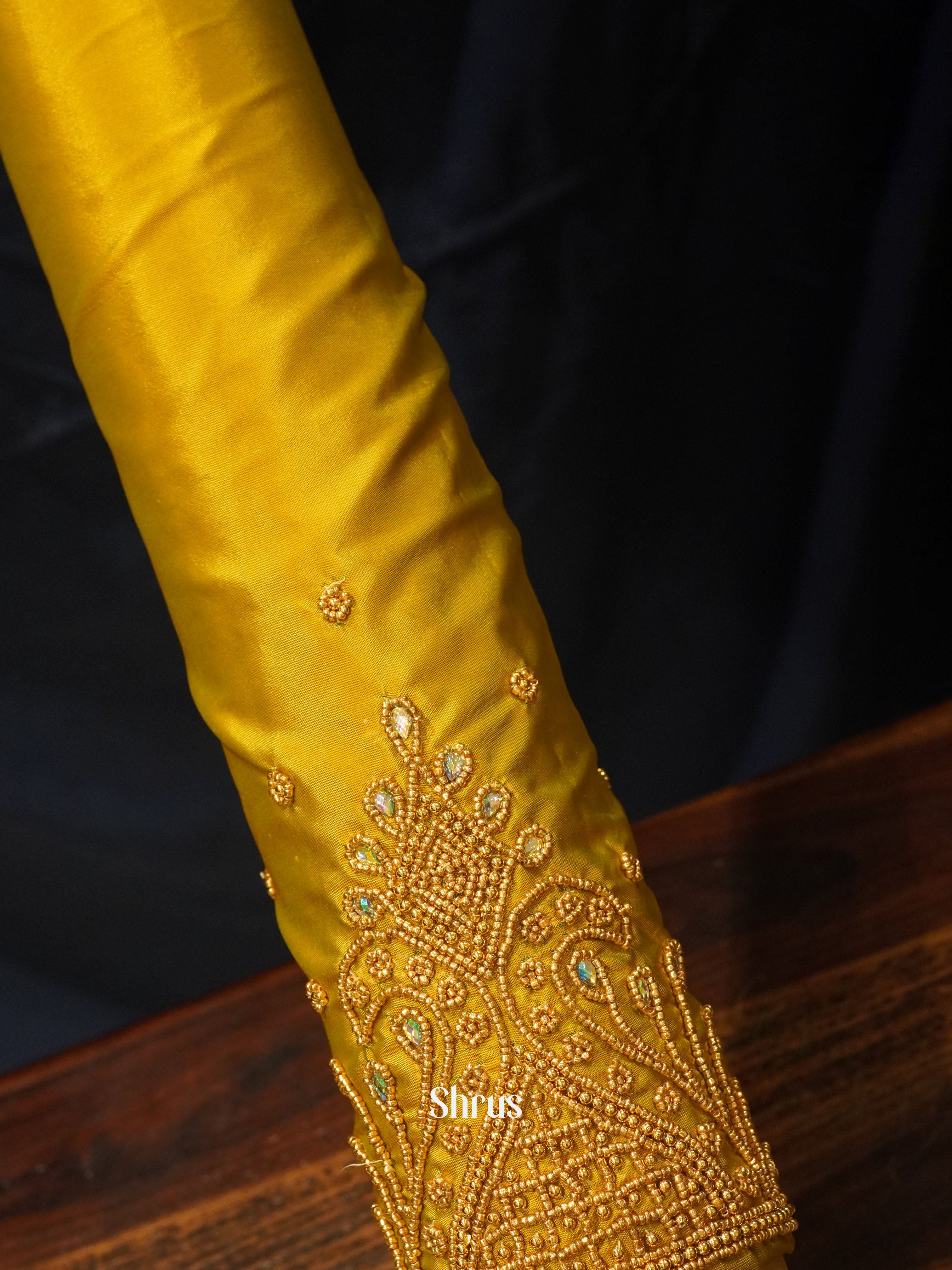 CES24144 -Aari Blous - Shop on ShrusEternity.com