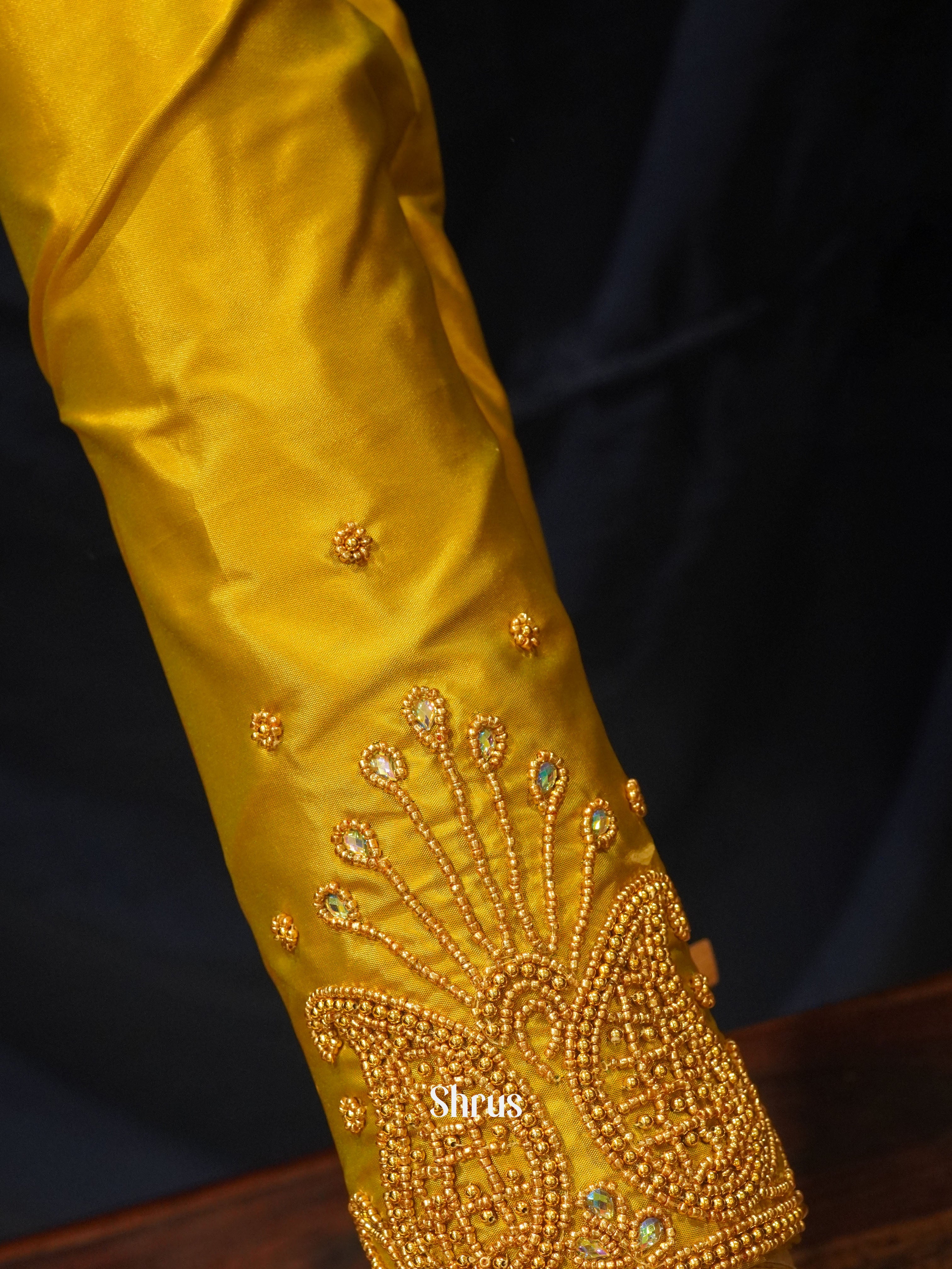 CES24159 -Aari blouse - Shop on ShrusEternity.com