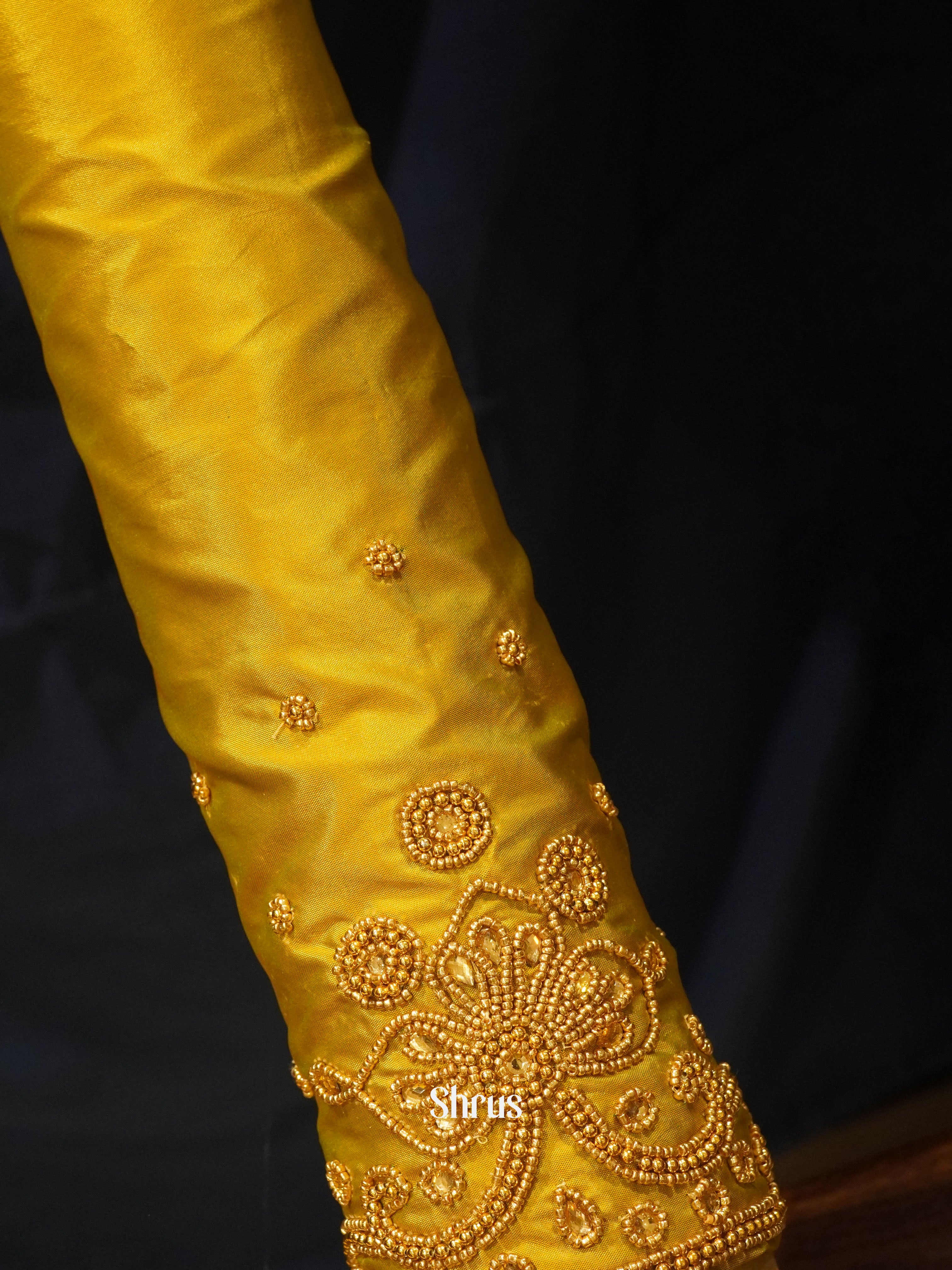 CES24186 -Aari blouse - Shop on ShrusEternity.com