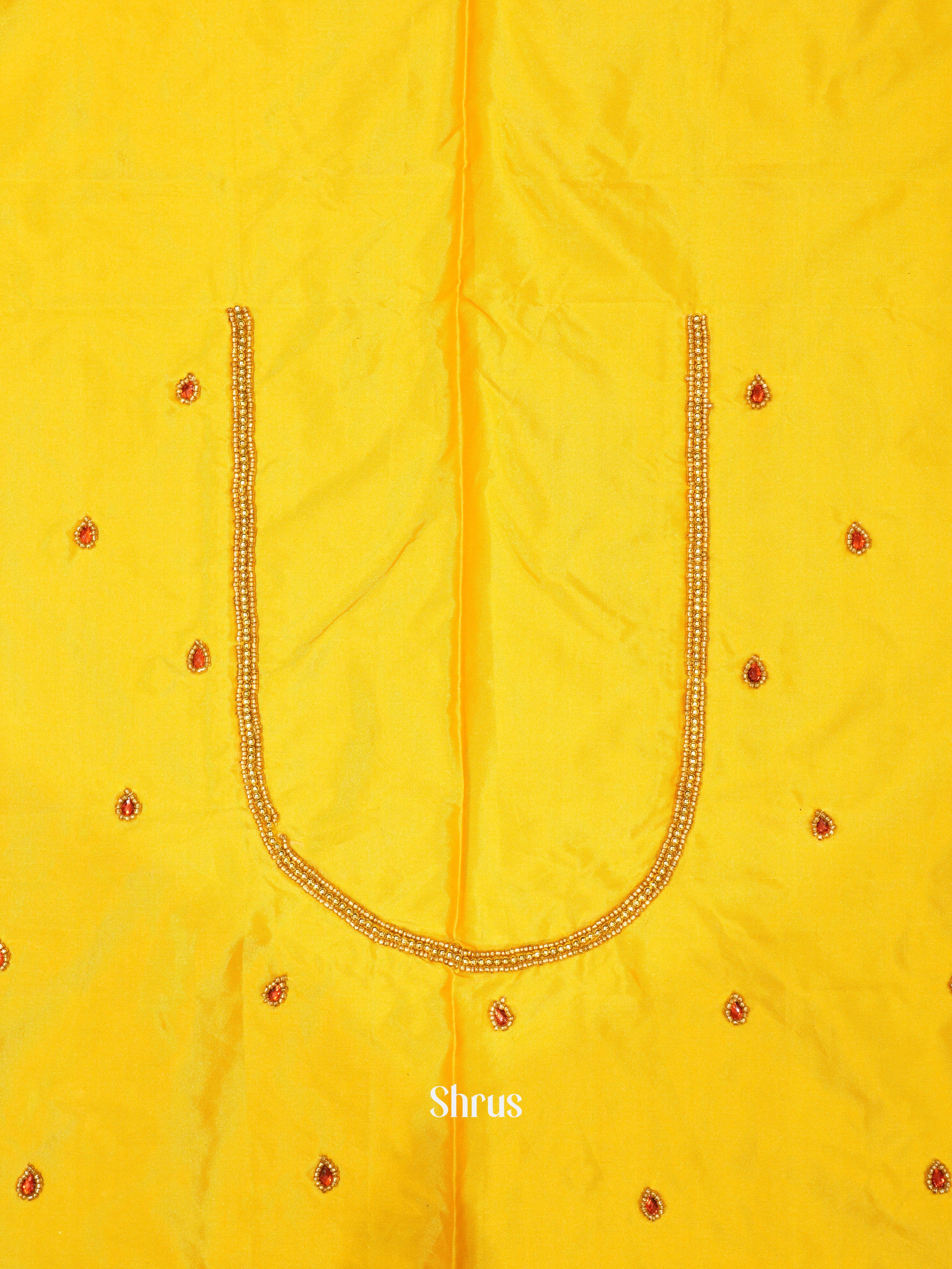 CES24221 -Aari blouse - Shop on ShrusEternity.com