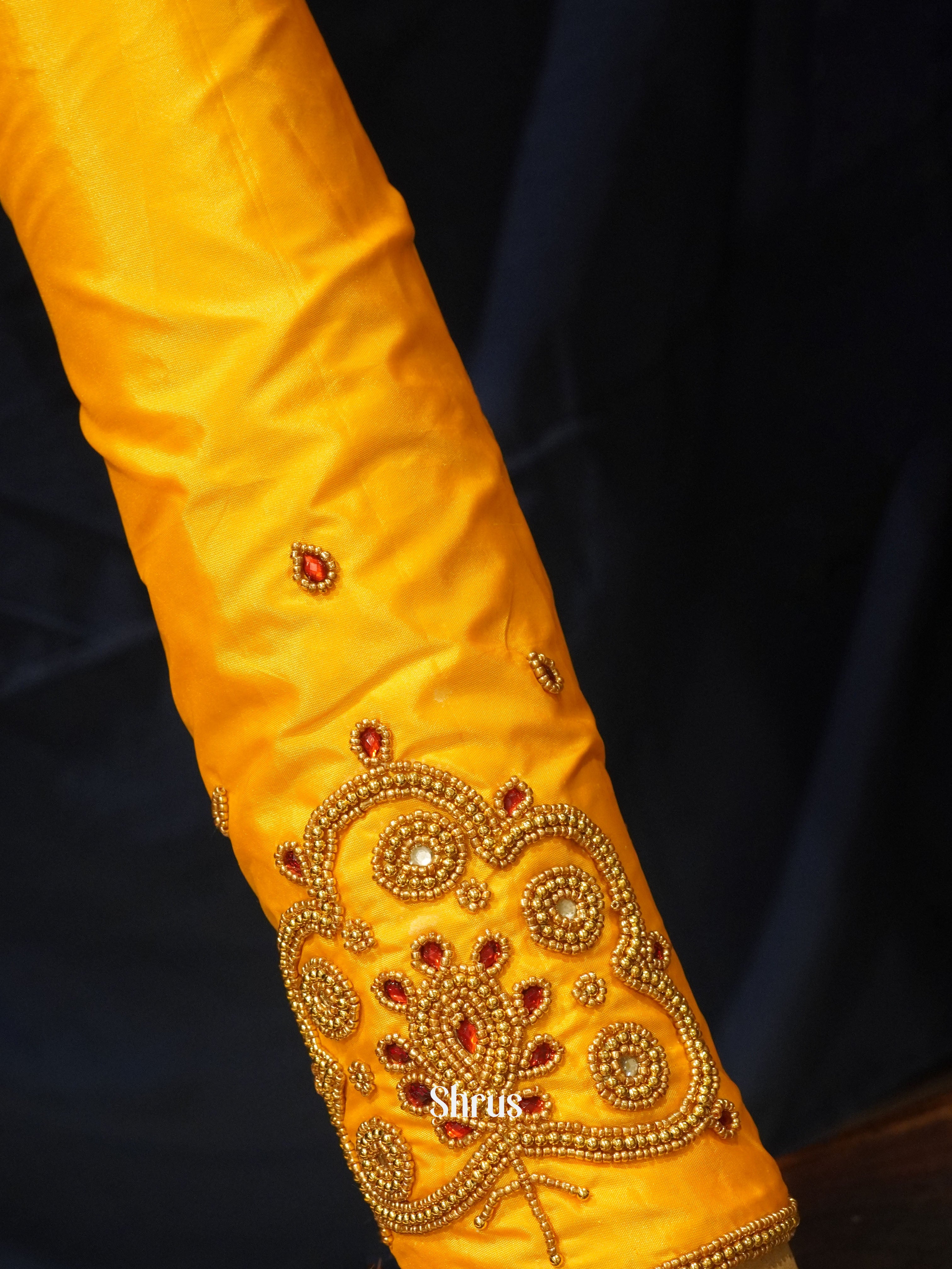 CES24221 -Aari blouse - Shop on ShrusEternity.com