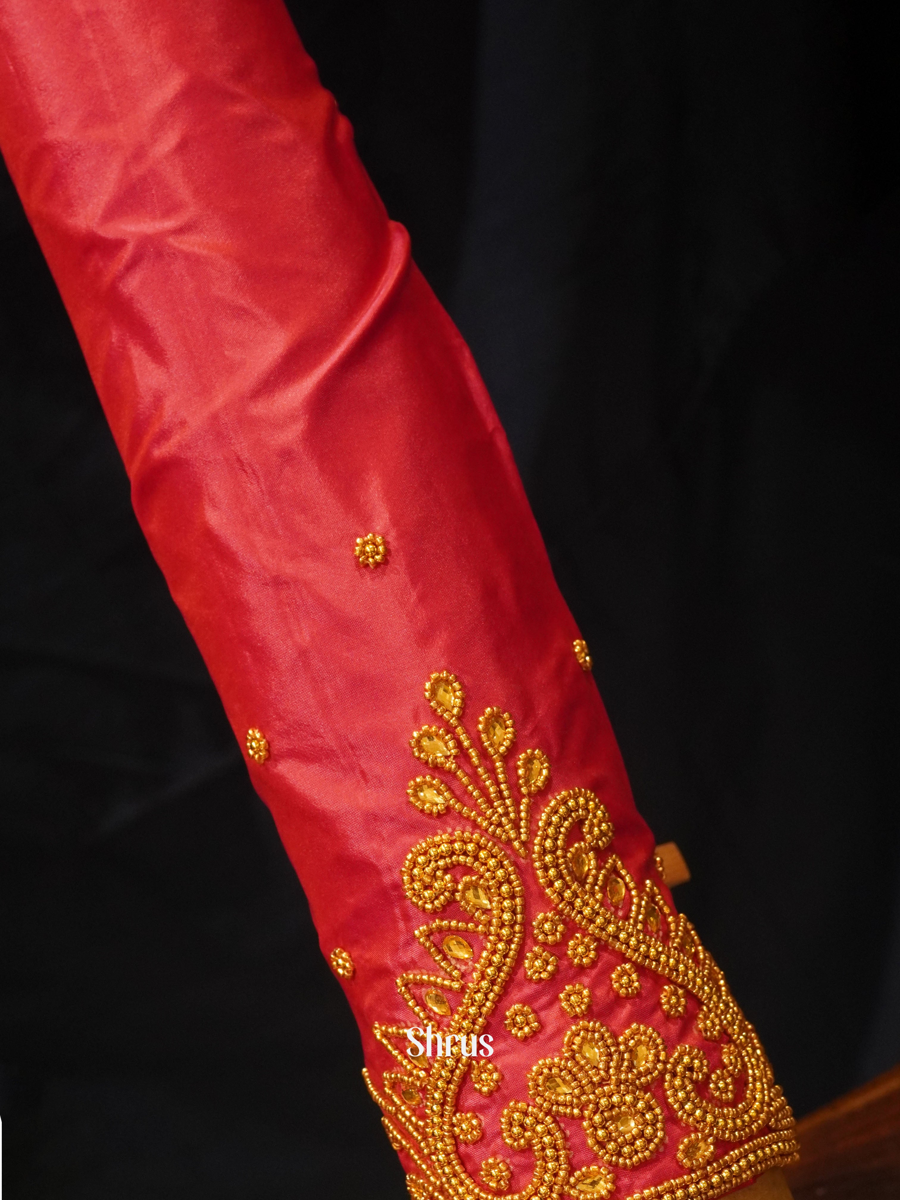 CES24231 -Aari blouse - Shop on ShrusEternity.com