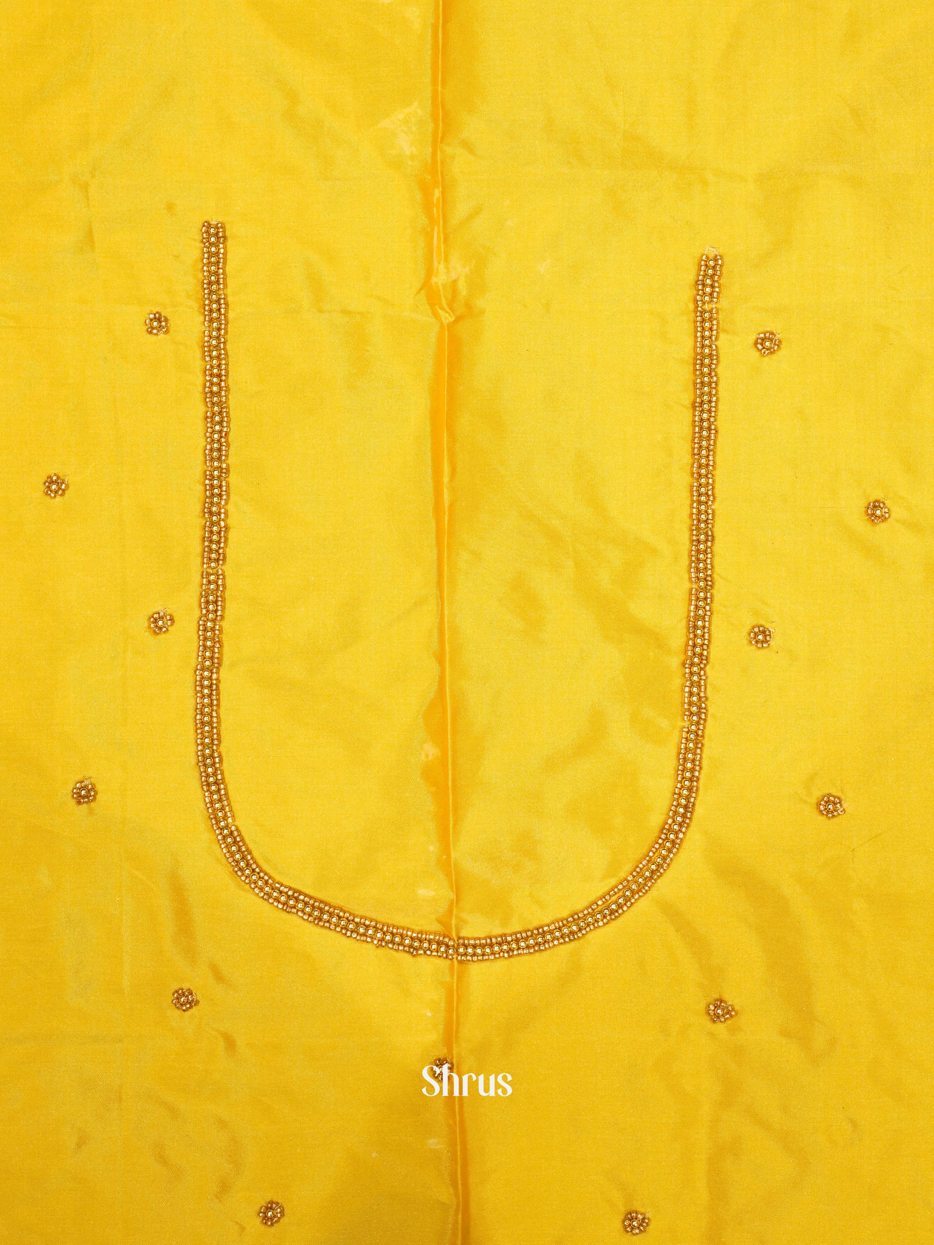 CES24239 -Aari blouse - Shop on ShrusEternity.com