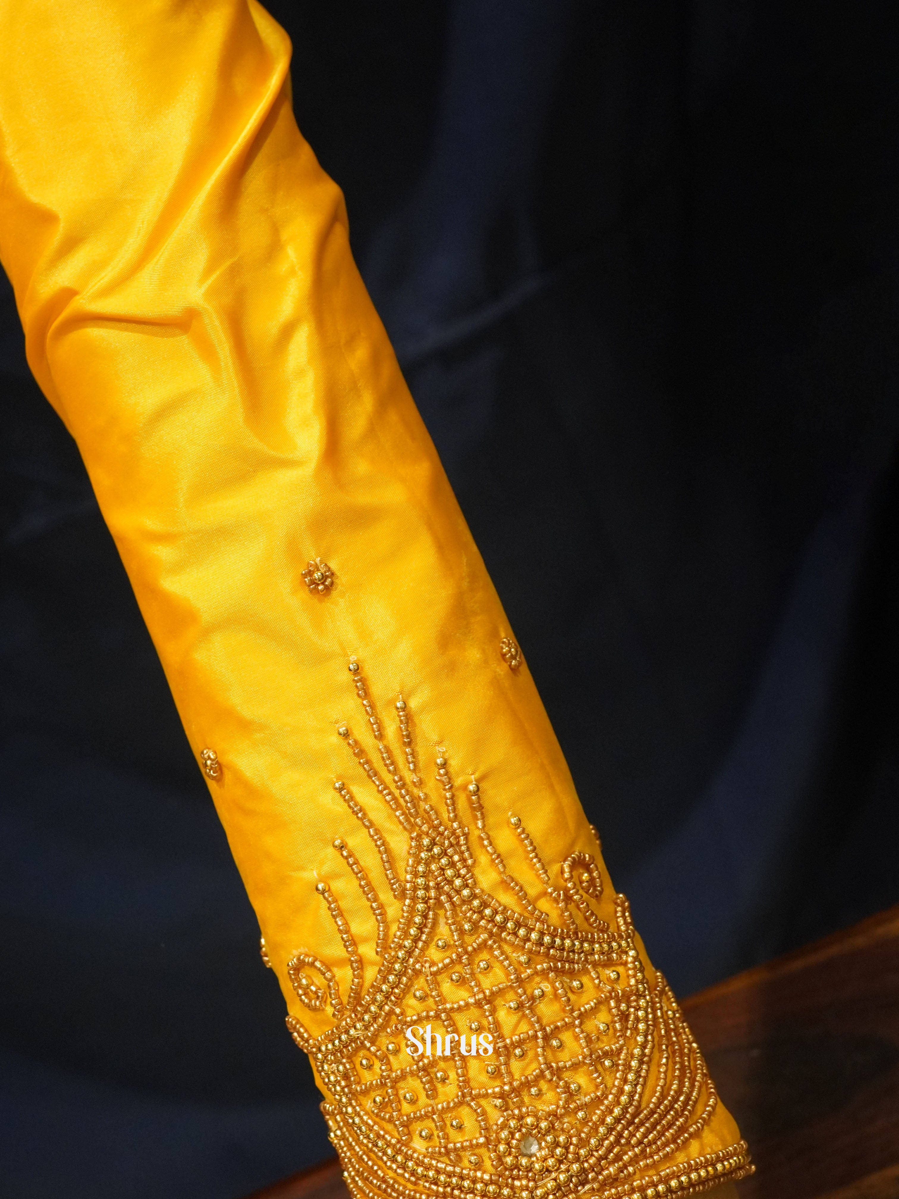 CES24239 -Aari blouse - Shop on ShrusEternity.com