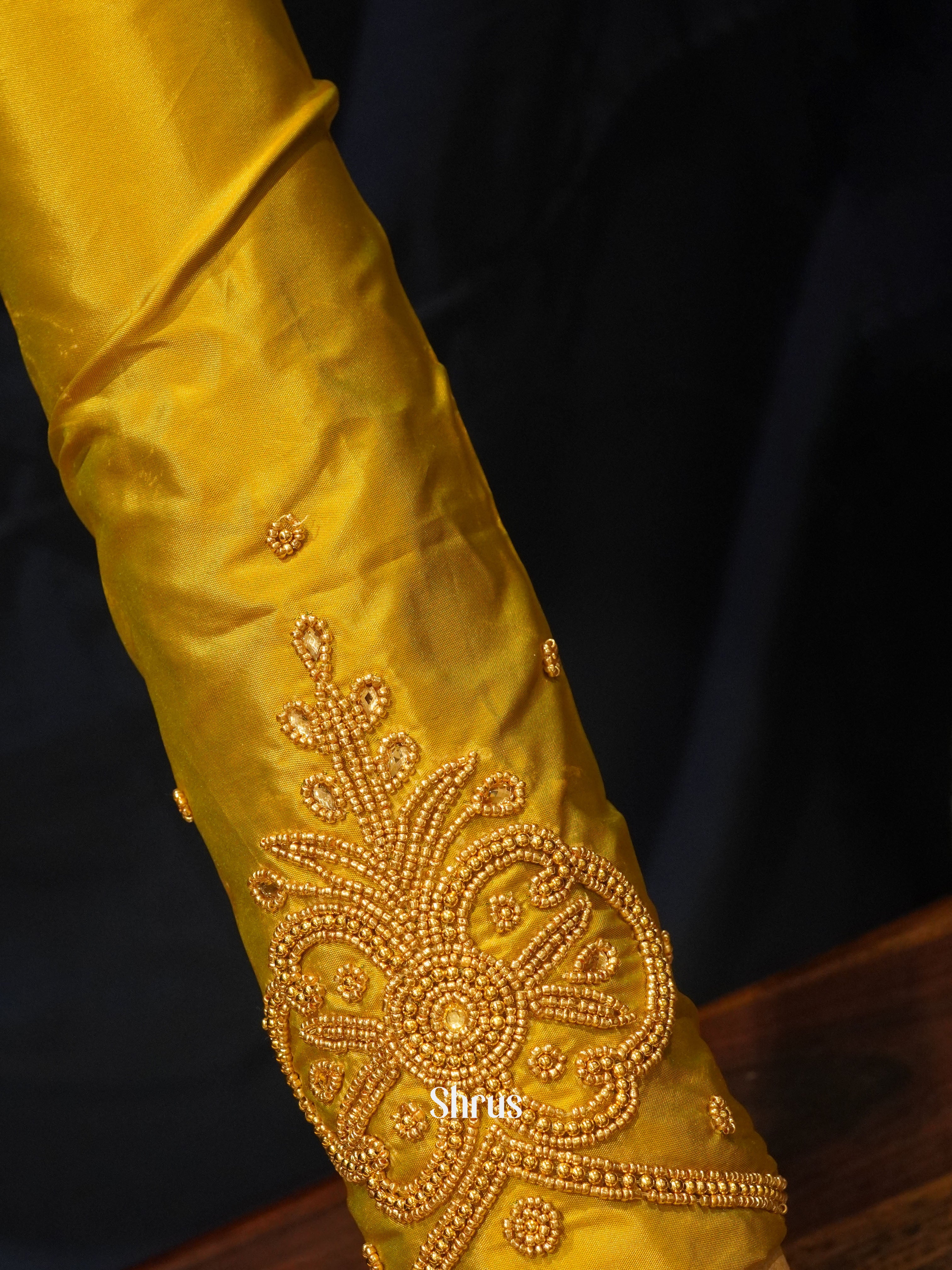 CES24251 -Aari blouse - Shop on ShrusEternity.com