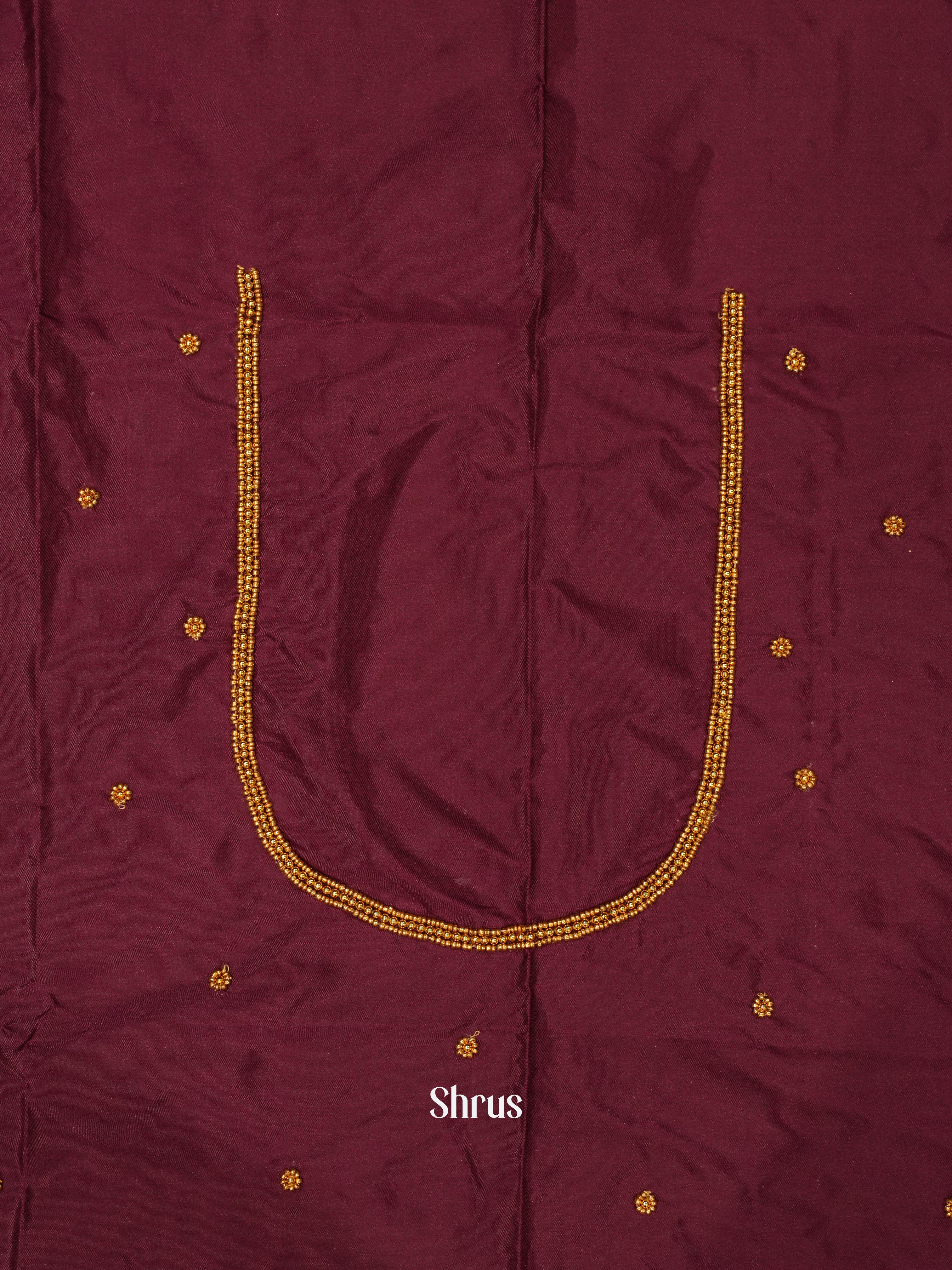 CES24259 - Aari Blouse - Shop on ShrusEternity.com