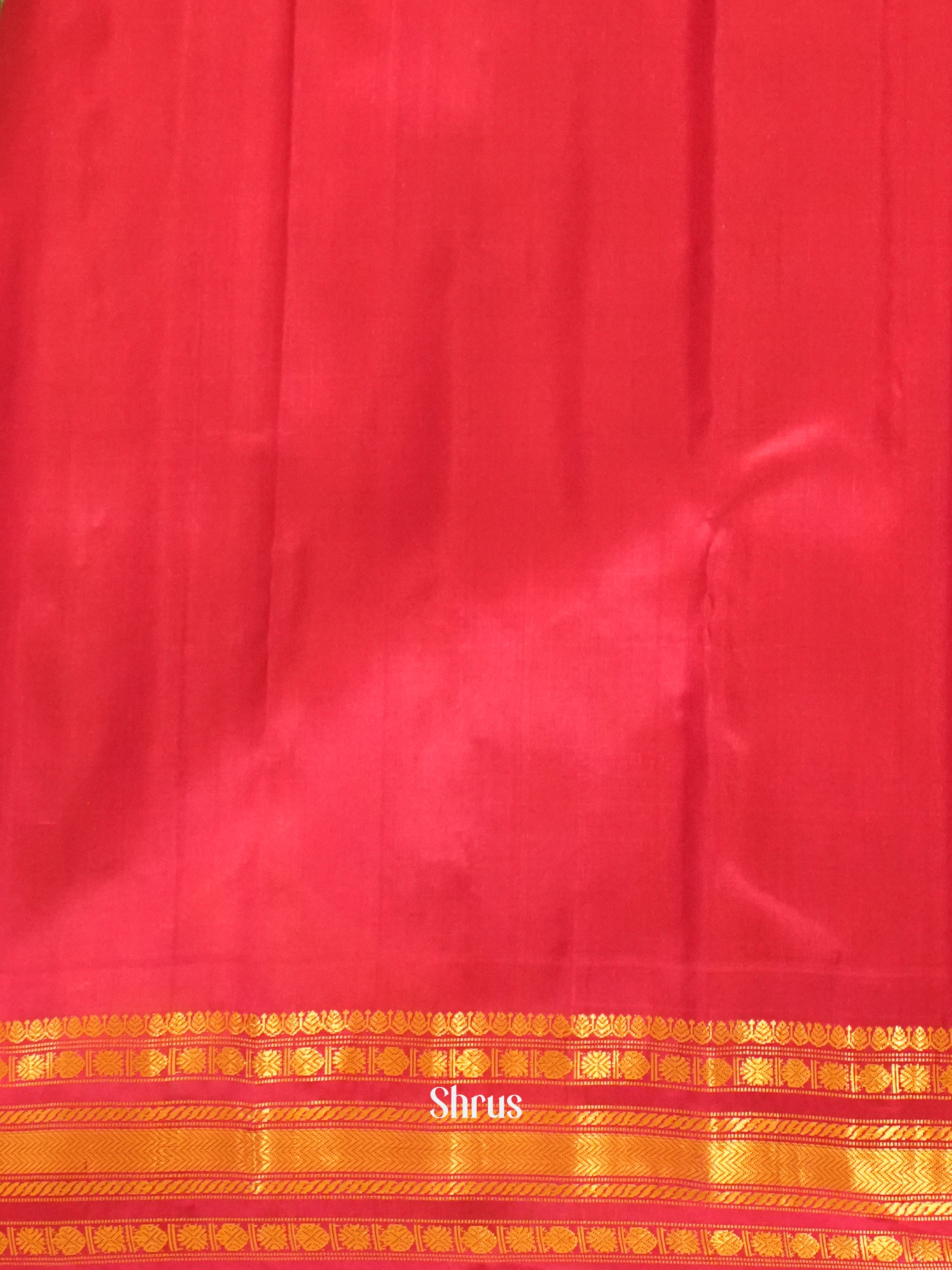 Yellow & Red - Gadwal Silk Saree - Shop on ShrusEternity.com