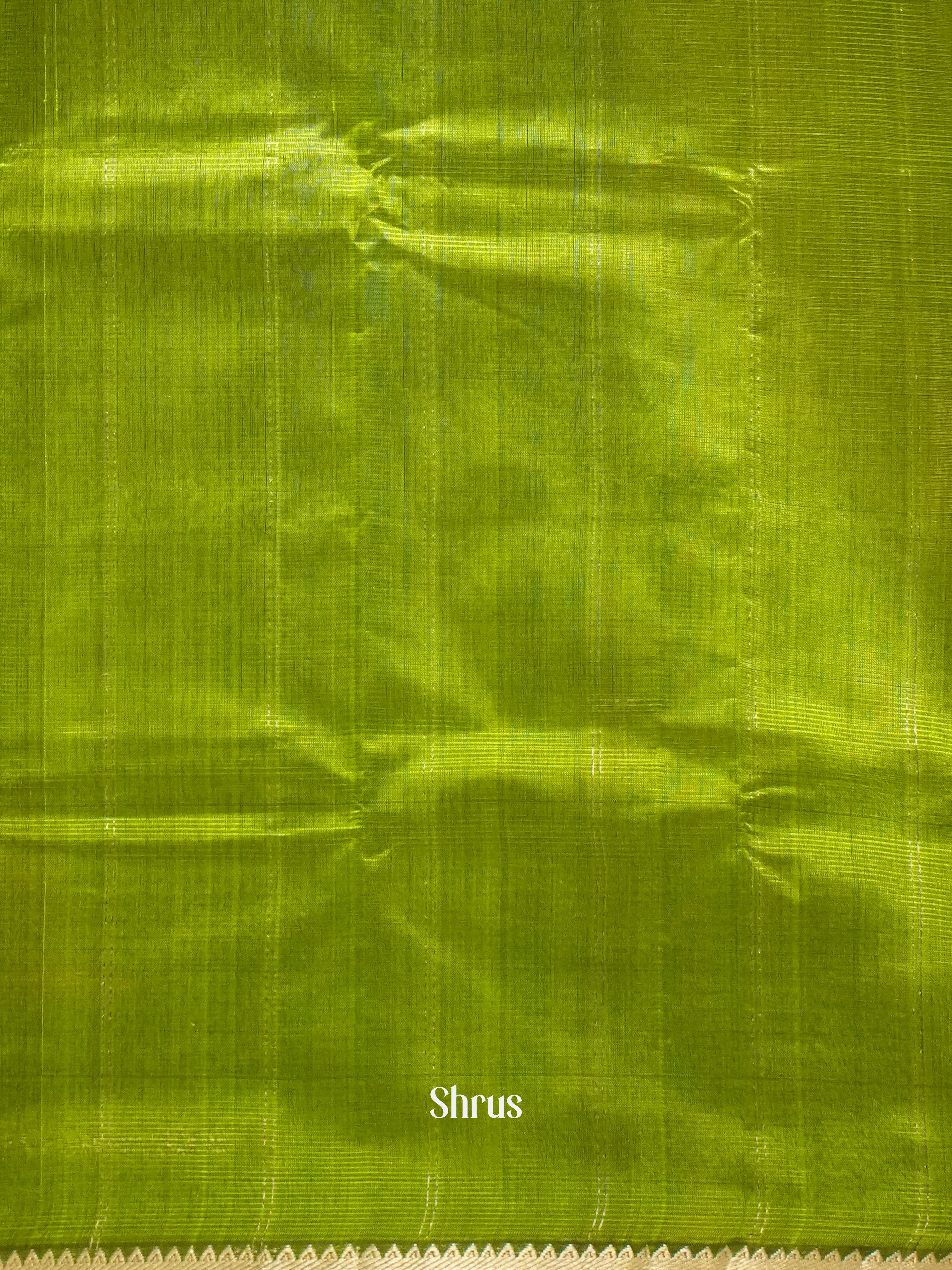 Light Green (Single tone) - Mangalagiri Silk Cotton saree - Shop on ShrusEternity.com