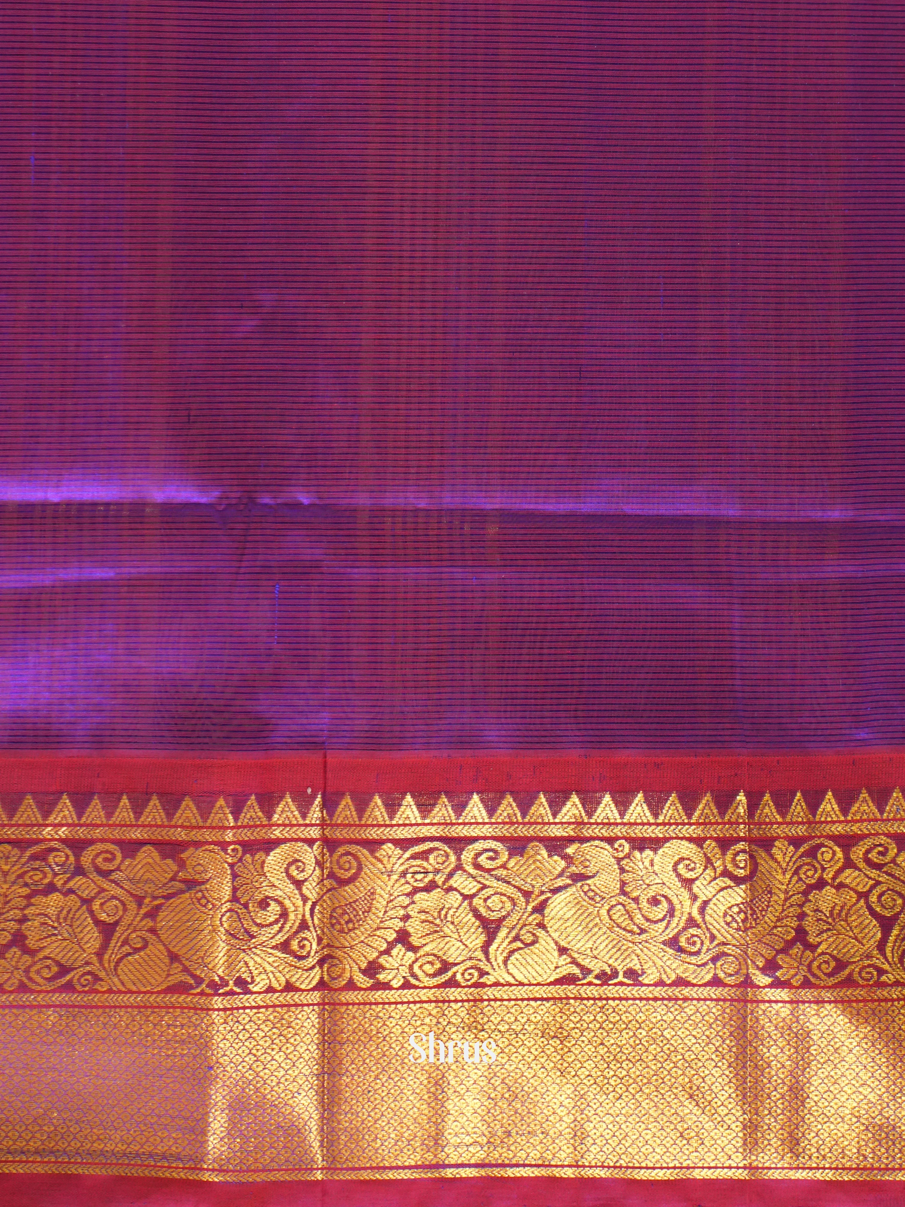 Cream & Purple - Silk Cotton Saree - Shop on ShrusEternity.com