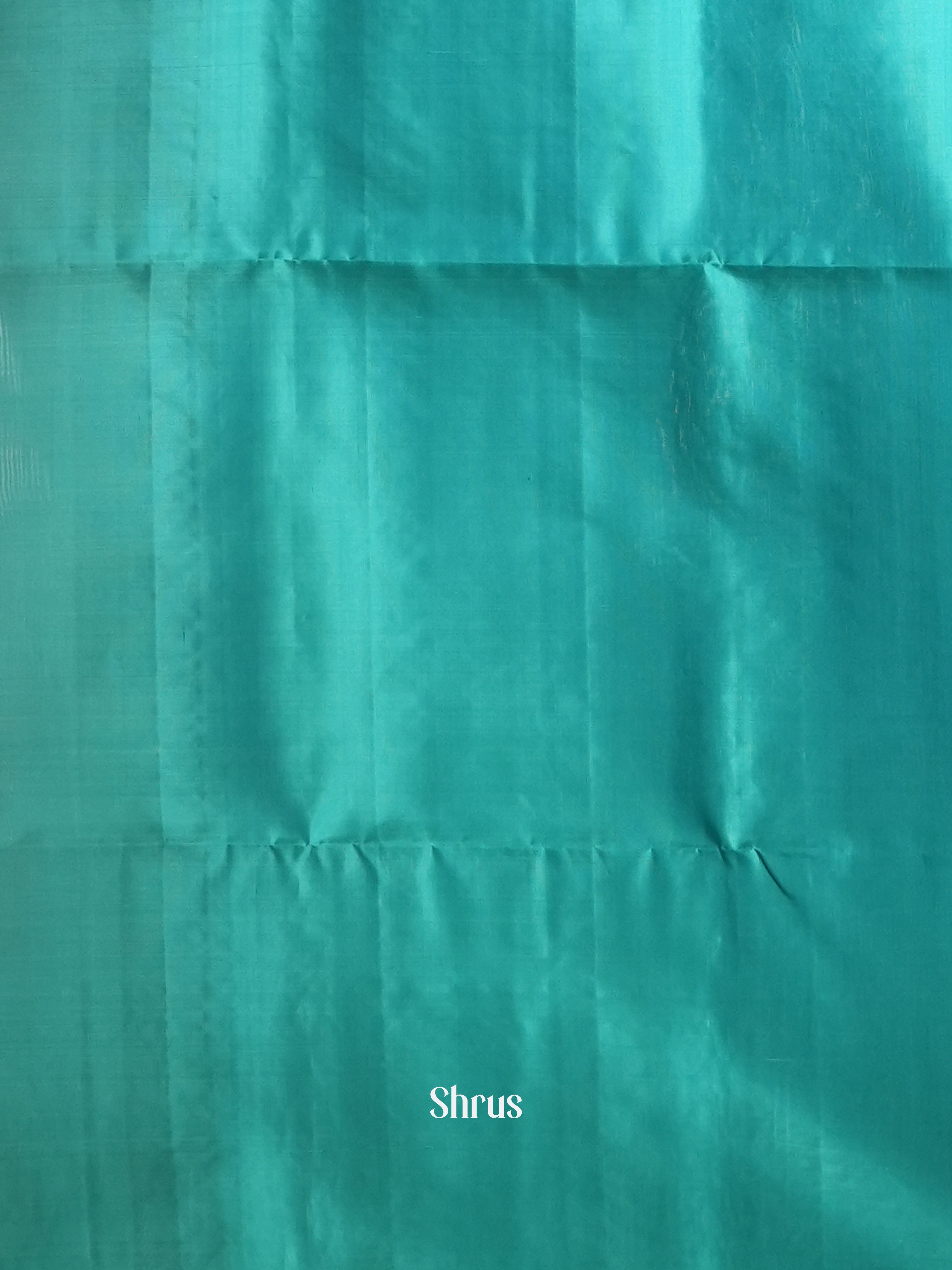 CES31672 - Soft Silk Saree - Shop on ShrusEternity.com