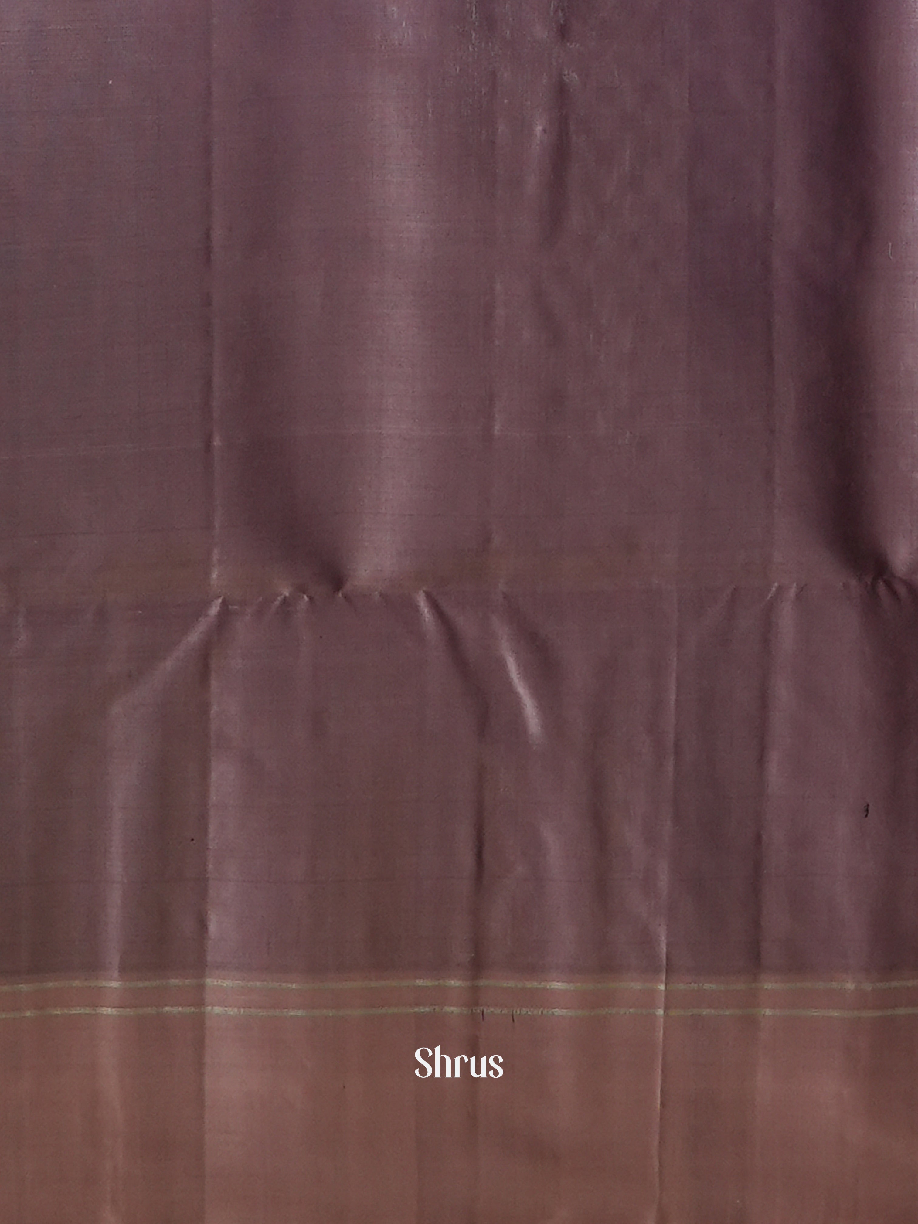 CES31673 - Soft Silk Saree - Shop on ShrusEternity.com