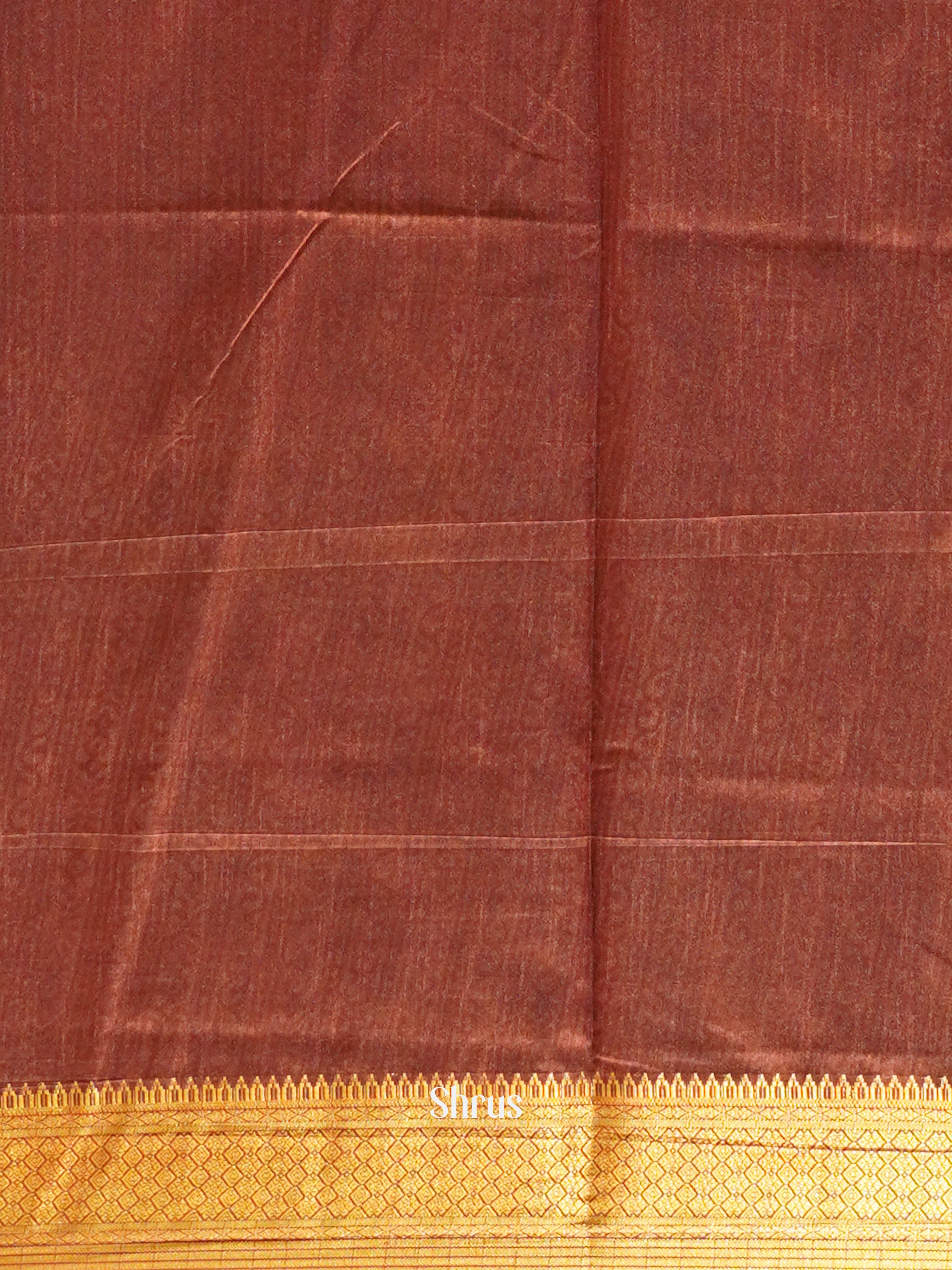Black & Brown - Semi Patola Saree - Shop on ShrusEternity.com