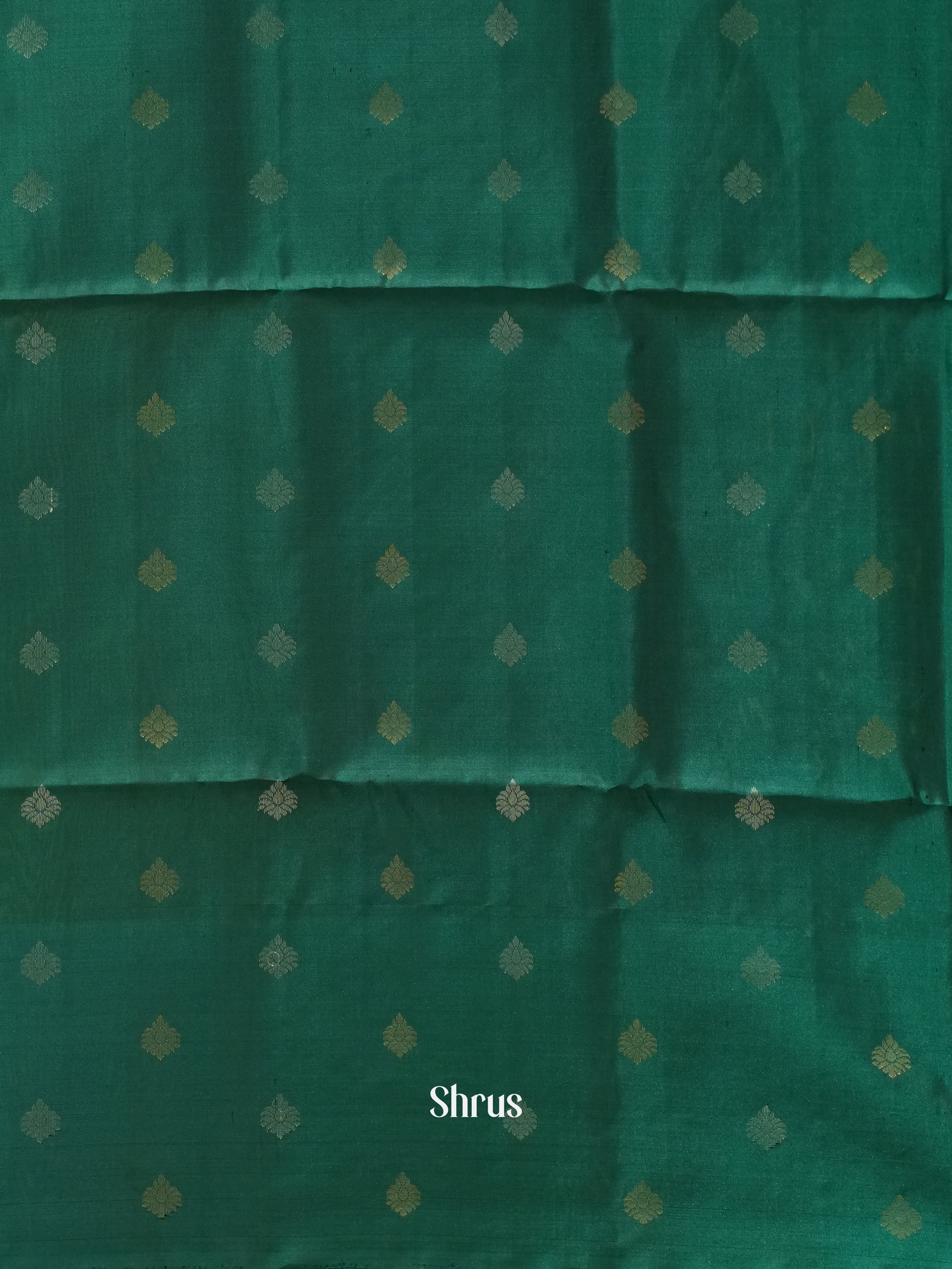 Light Green & Green - Soft Silk Saree - Shop on ShrusEternity.com