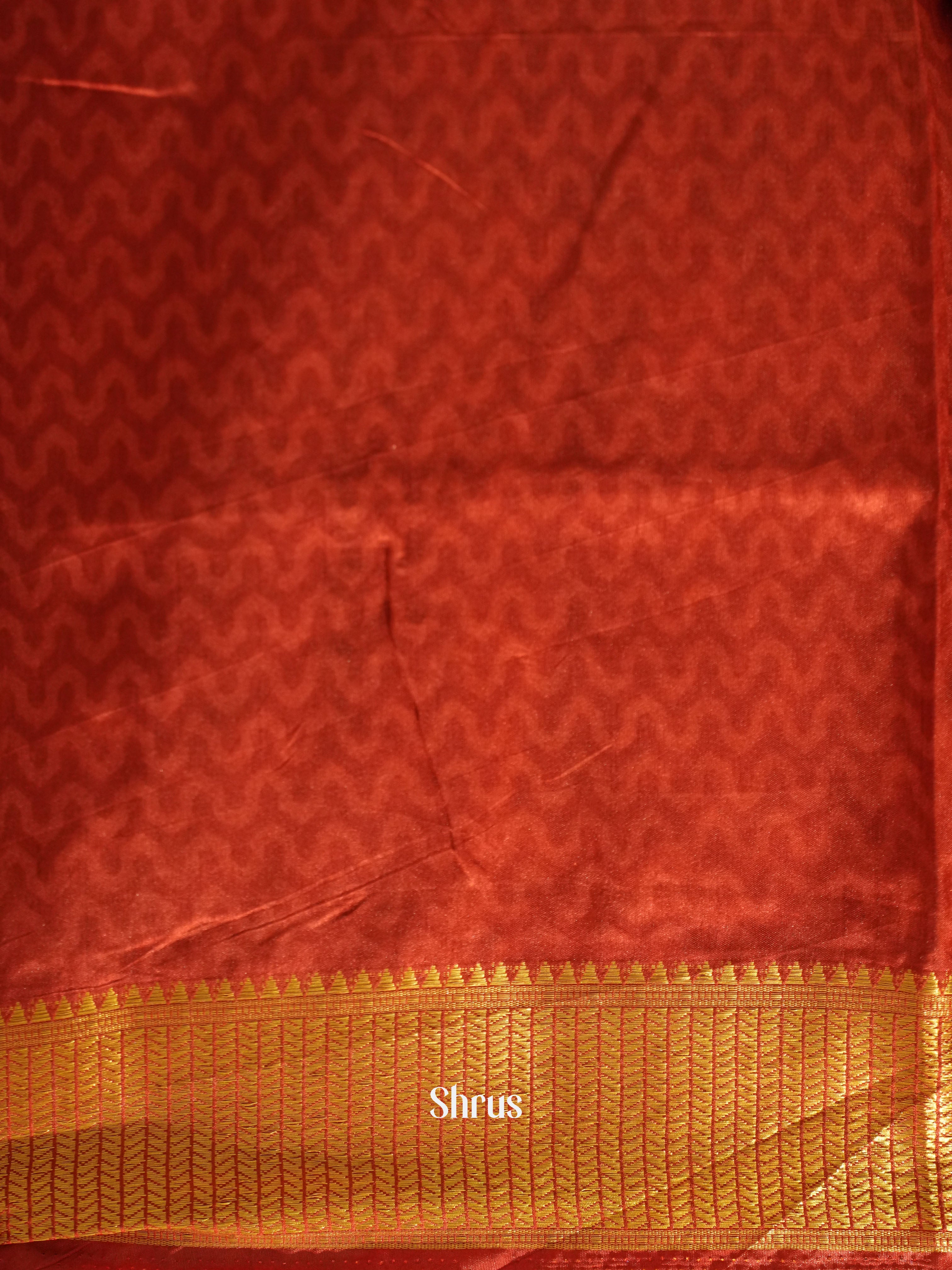 Green & Red -Semi Patola - Shop on ShrusEternity.com