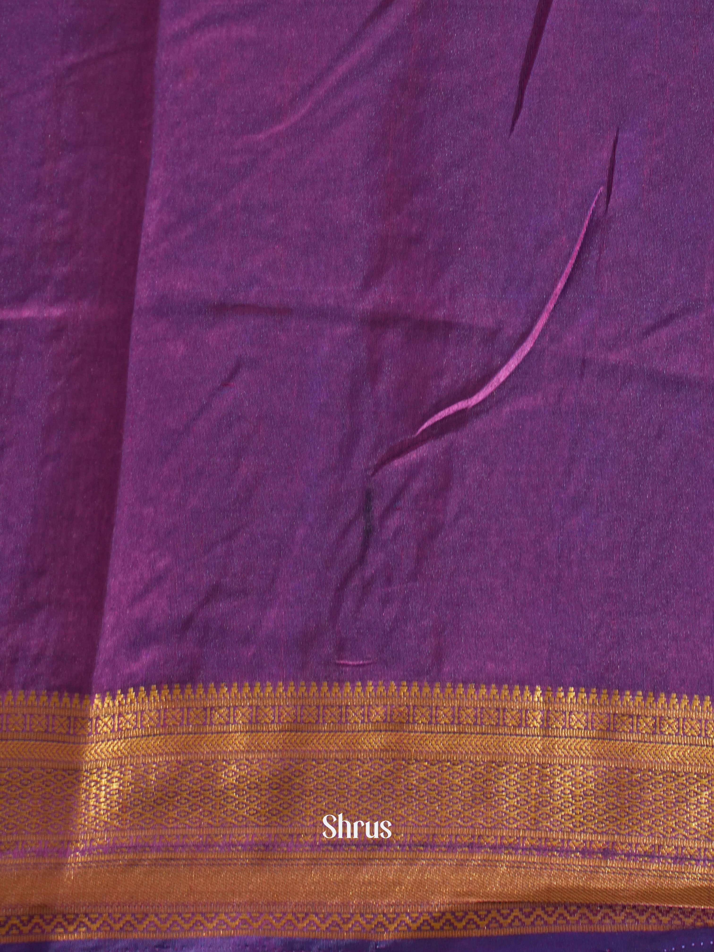 Blue & Purple -Semi Patola - Shop on ShrusEternity.com