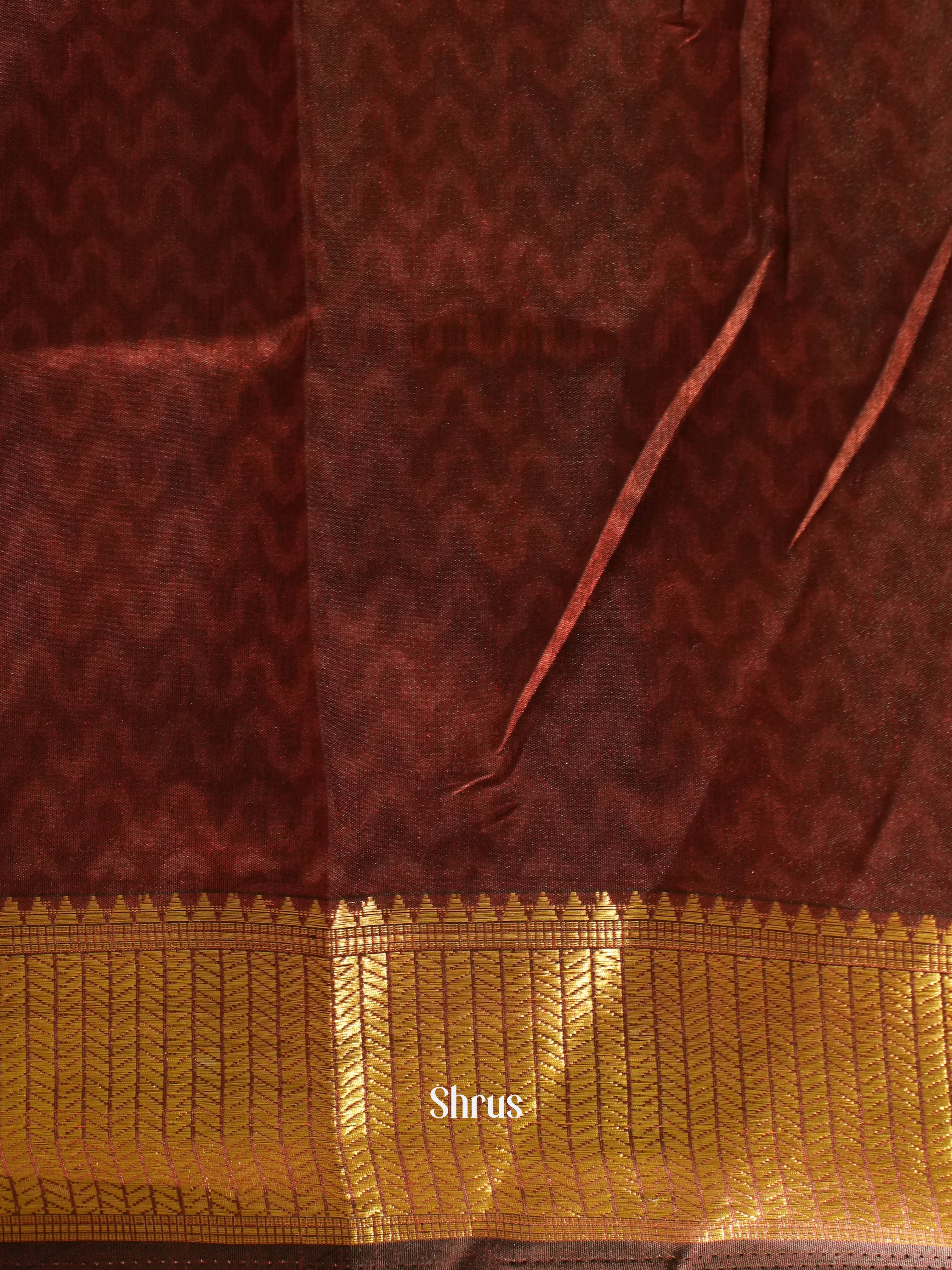 Black & Brown -Semi Patola - Shop on ShrusEternity.com