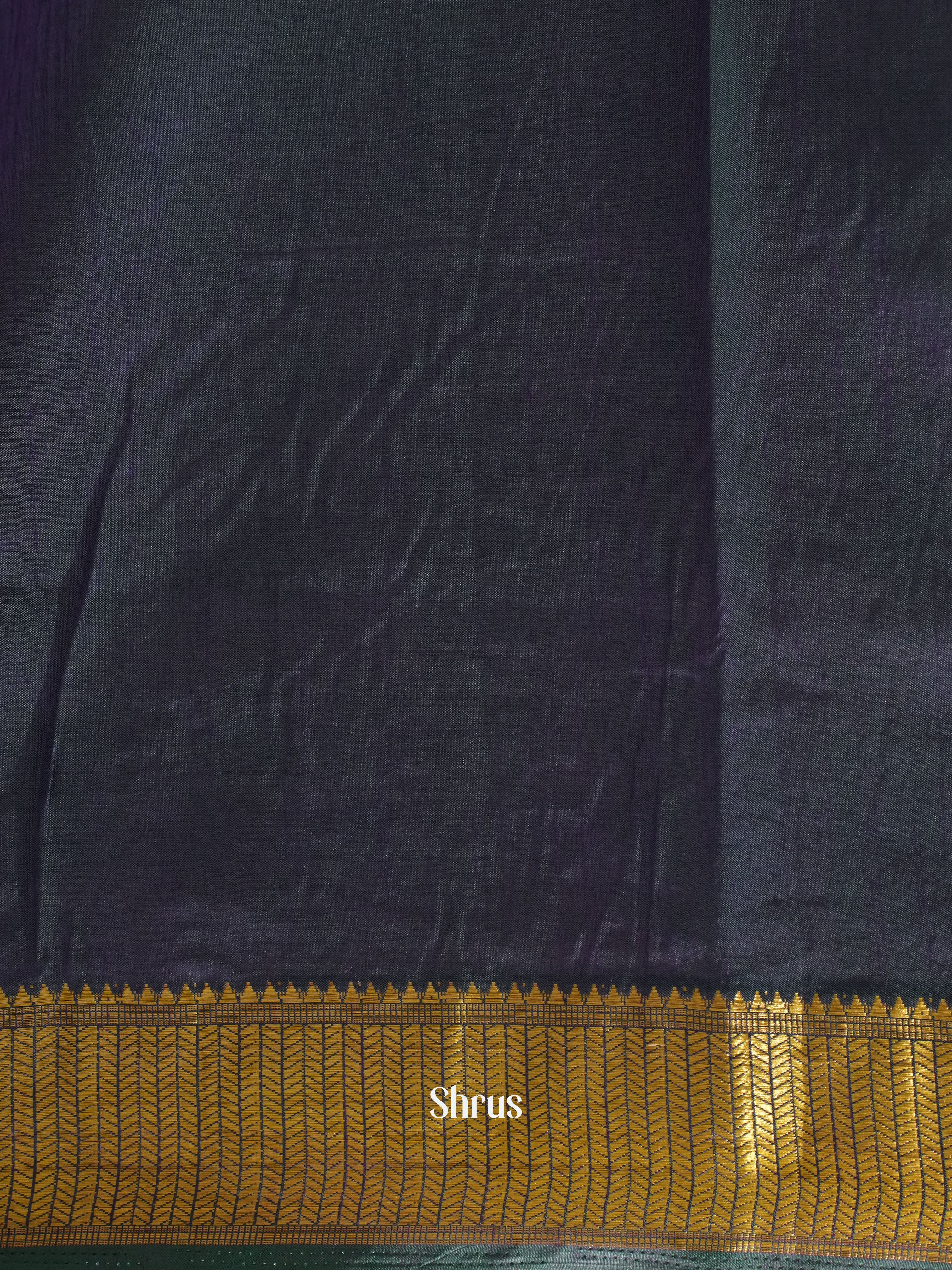 Green & Purple -Semi Patola - Shop on ShrusEternity.com