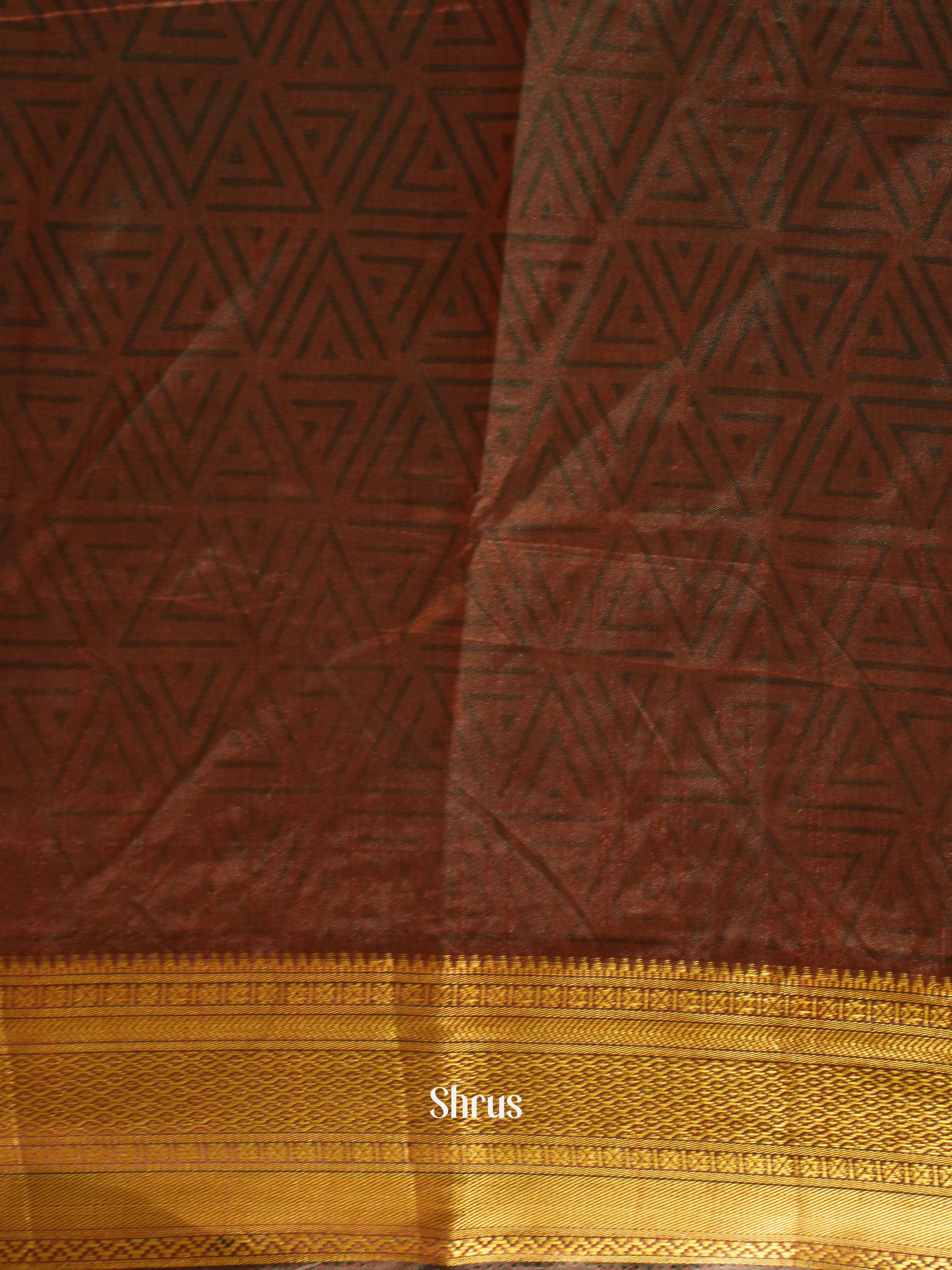 Green & Brown -Semi Patola - Shop on ShrusEternity.com