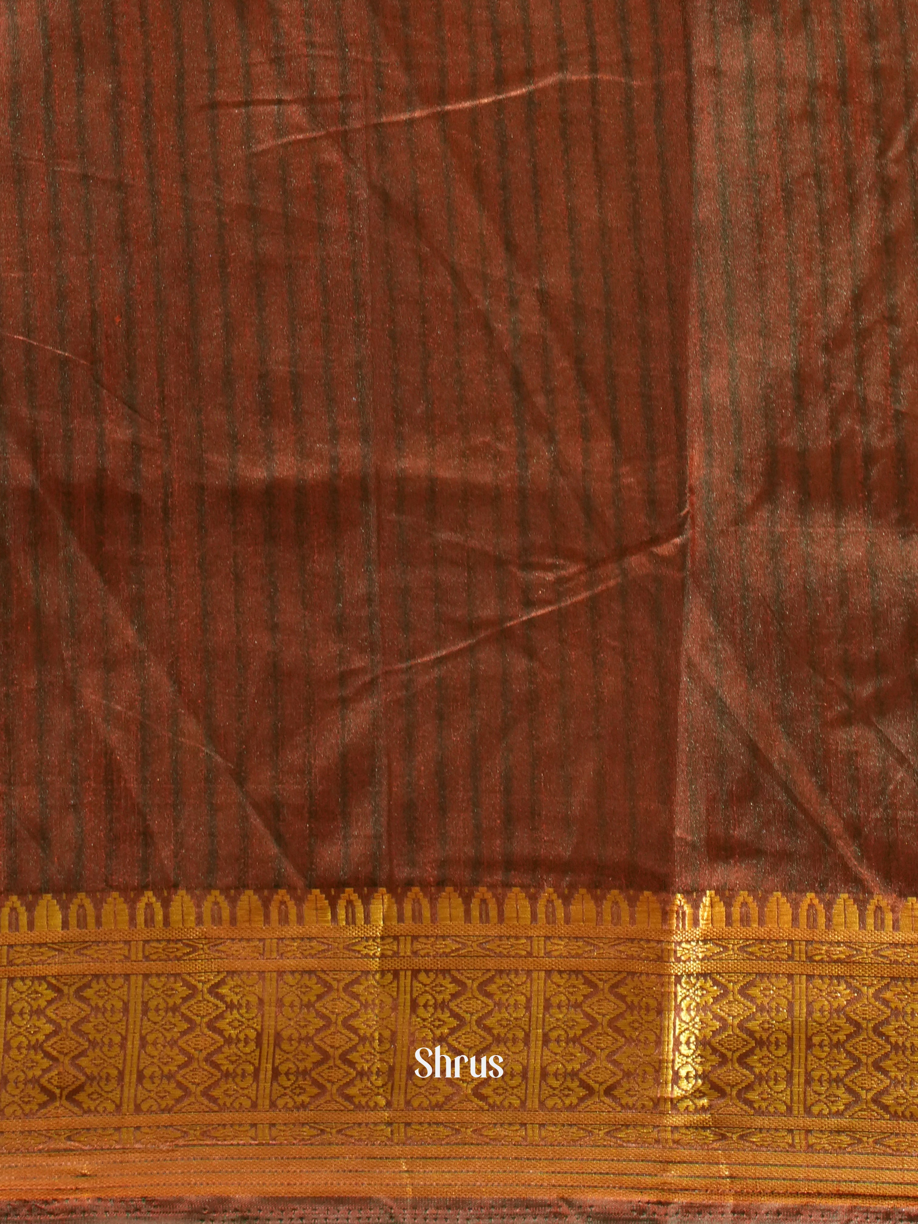 Green & Brown -Semi Patola - Shop on ShrusEternity.com