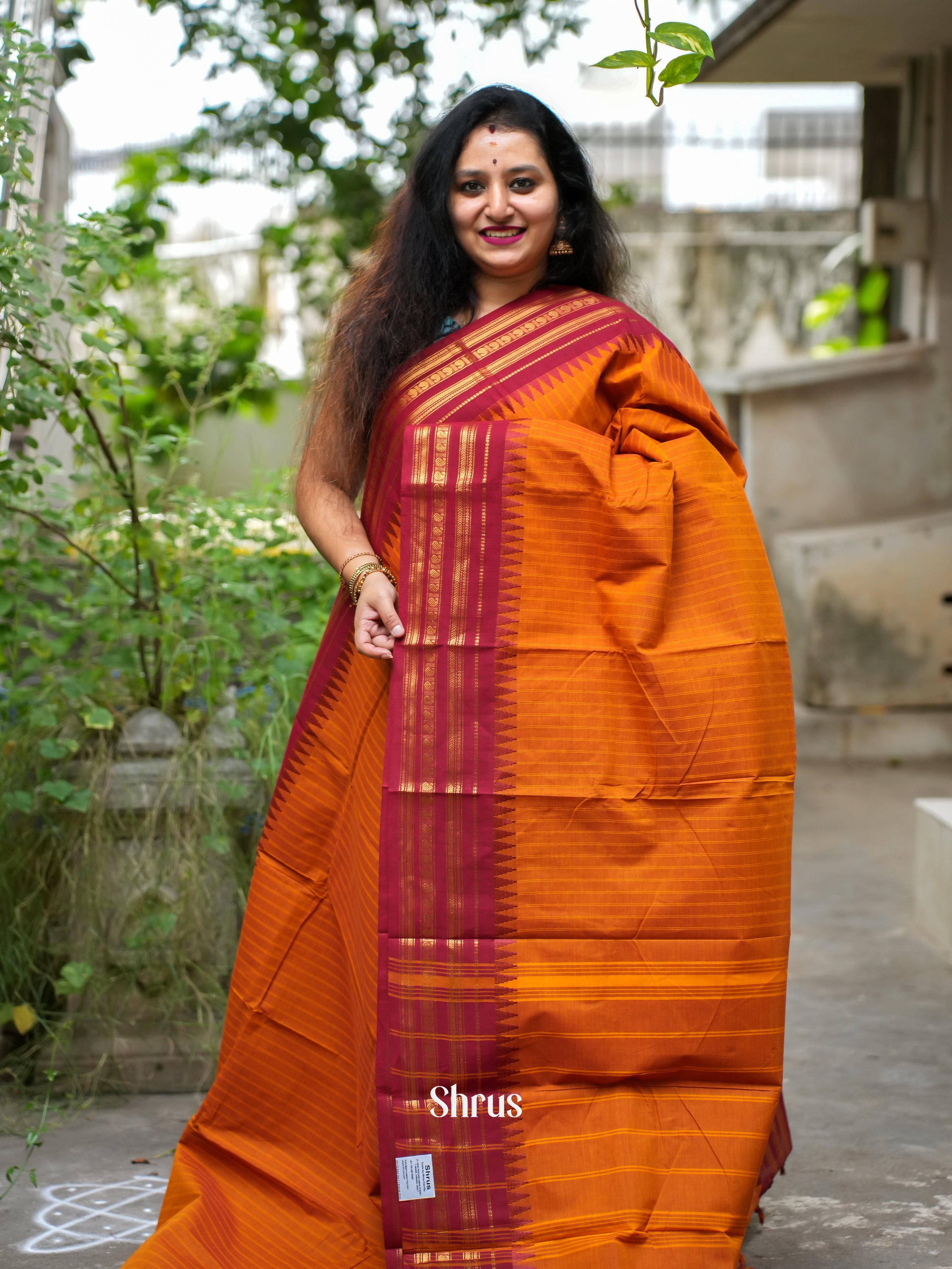 CFS19177 - Chettinad Cotton - Shop on ShrusEternity.com