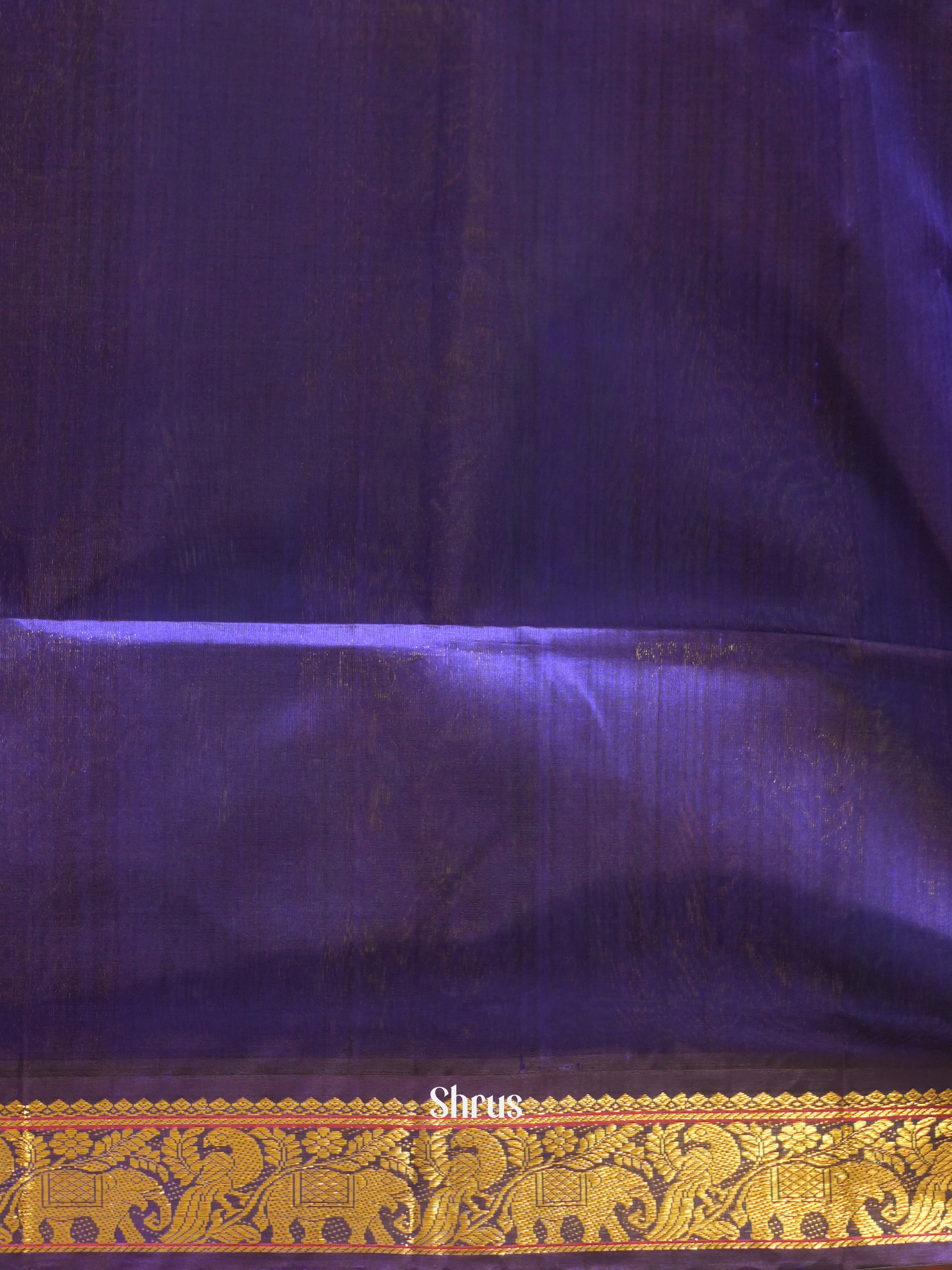 CFS20104 - Silk Cotton Saree - Shop on ShrusEternity.com