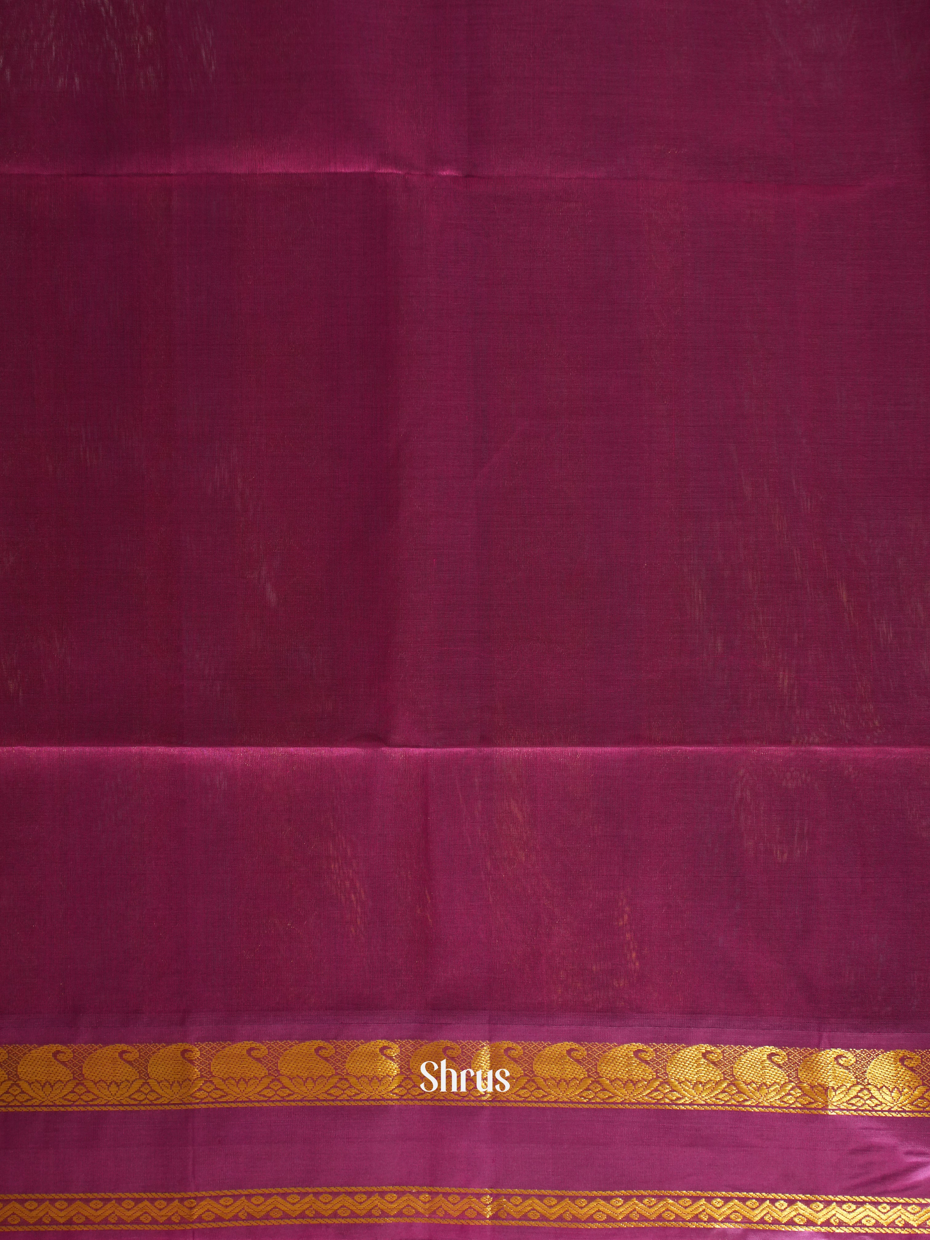 Green & Majenta - Silk Cotton Saree - Shop on ShrusEternity.com
