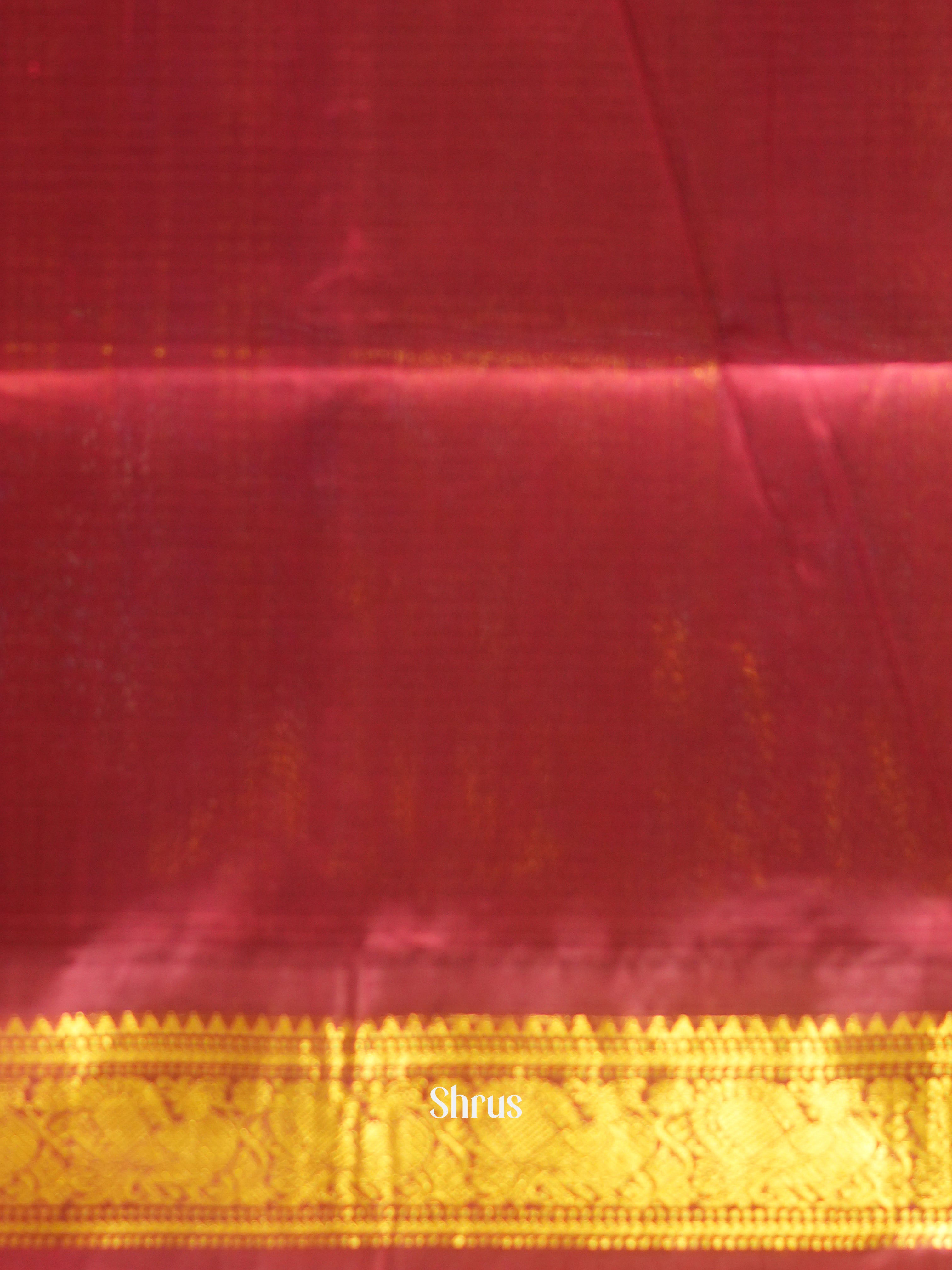 Teal Blue & Maroon- Silk Cotton Saree - Shop on ShrusEternity.com