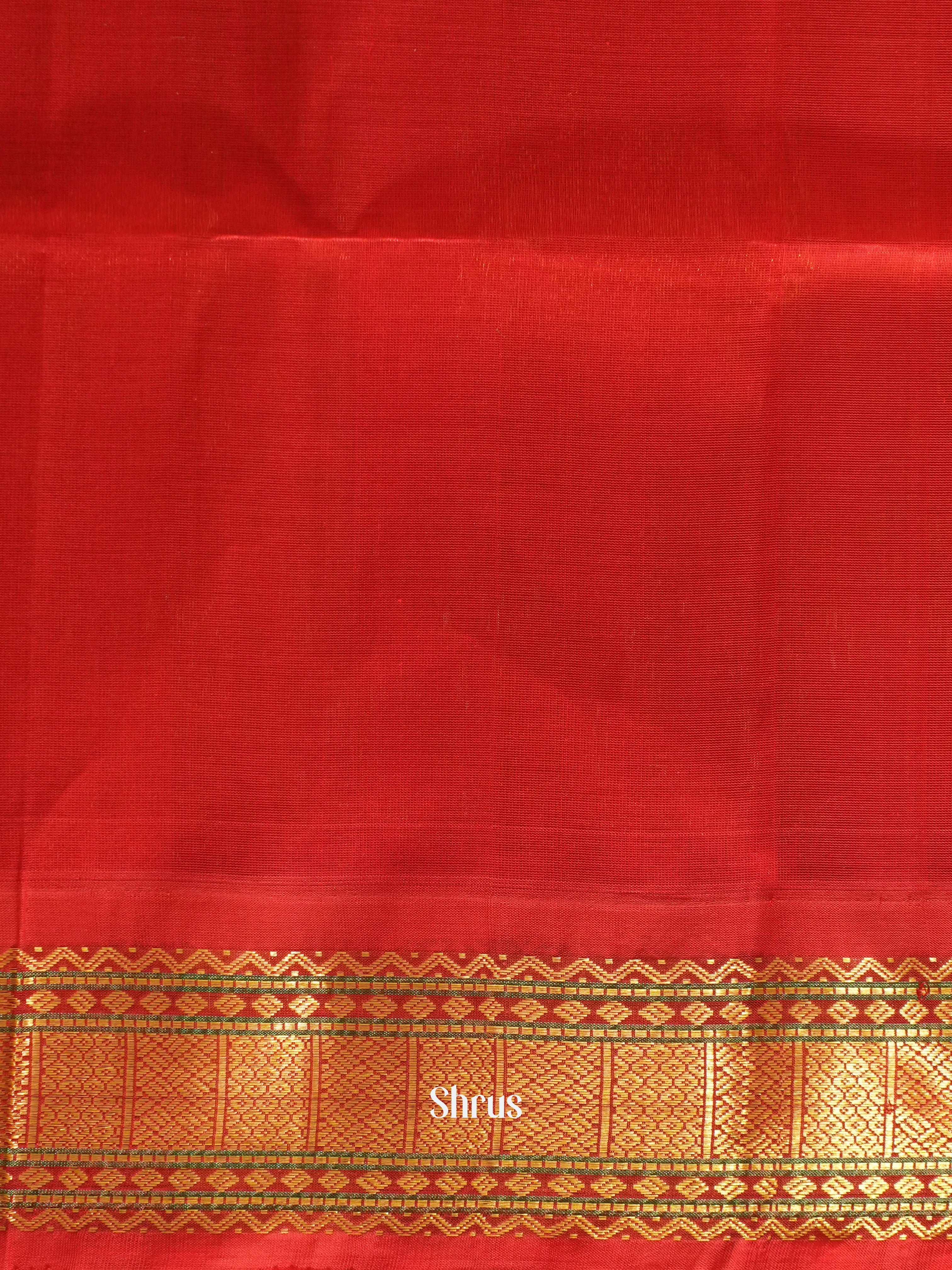 Bright Yellow & Red - Silk Cotton Saree - Shop on ShrusEternity.com