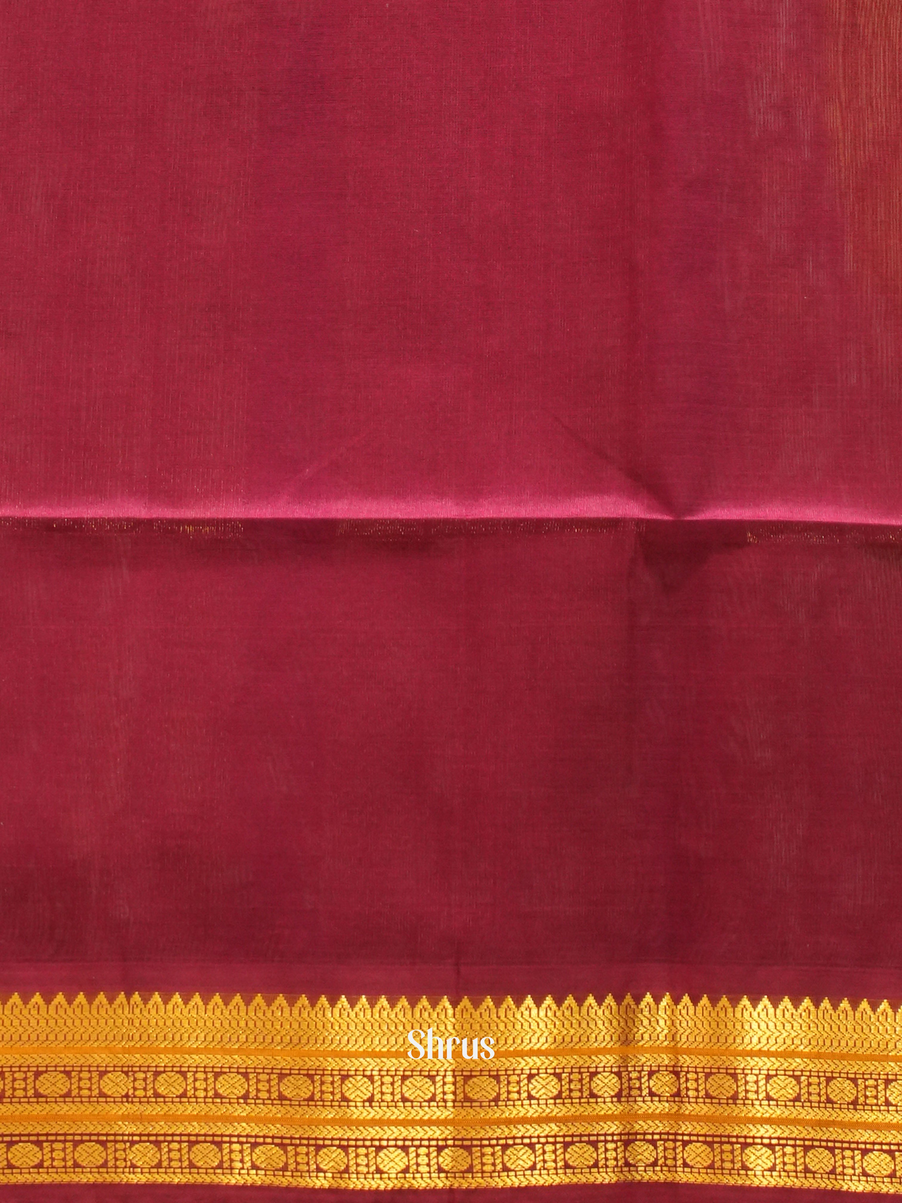 Cream & Maroon - Silk Cotton Saree - Shop on ShrusEternity.com