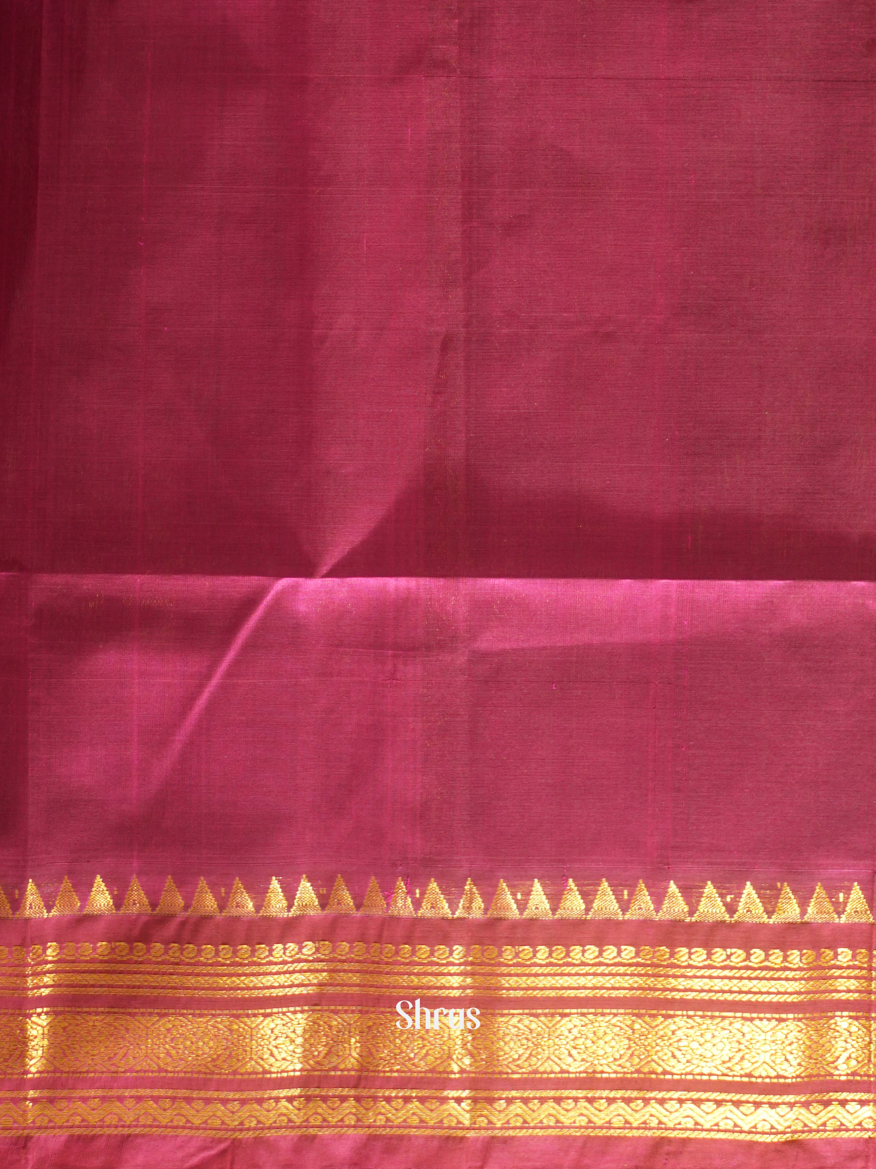 Blue & Majenta - Silk Cotton Saree - Shop on ShrusEternity.com