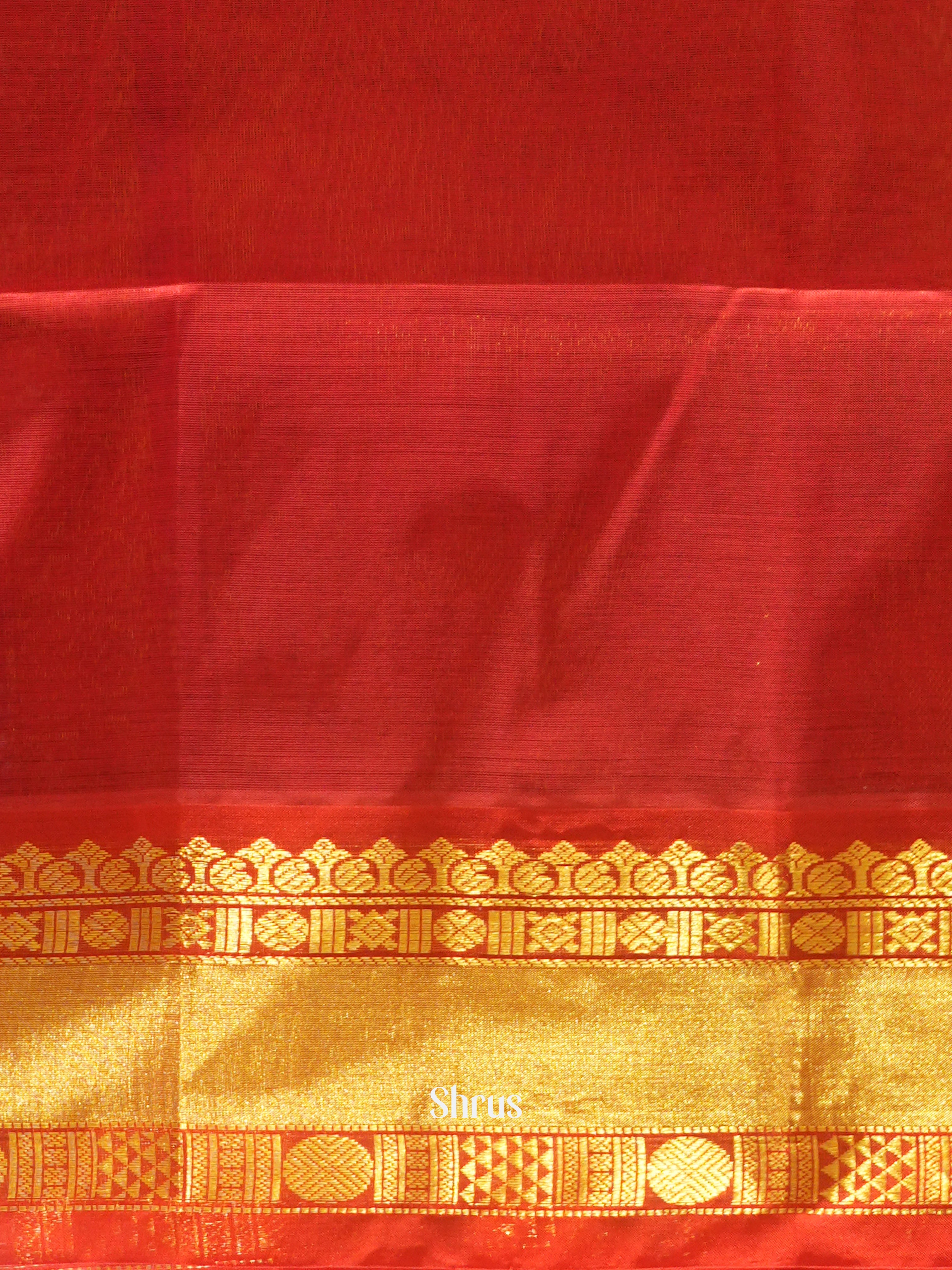 Blue & Red - Silk Cotton Saree - Shop on ShrusEternity.com