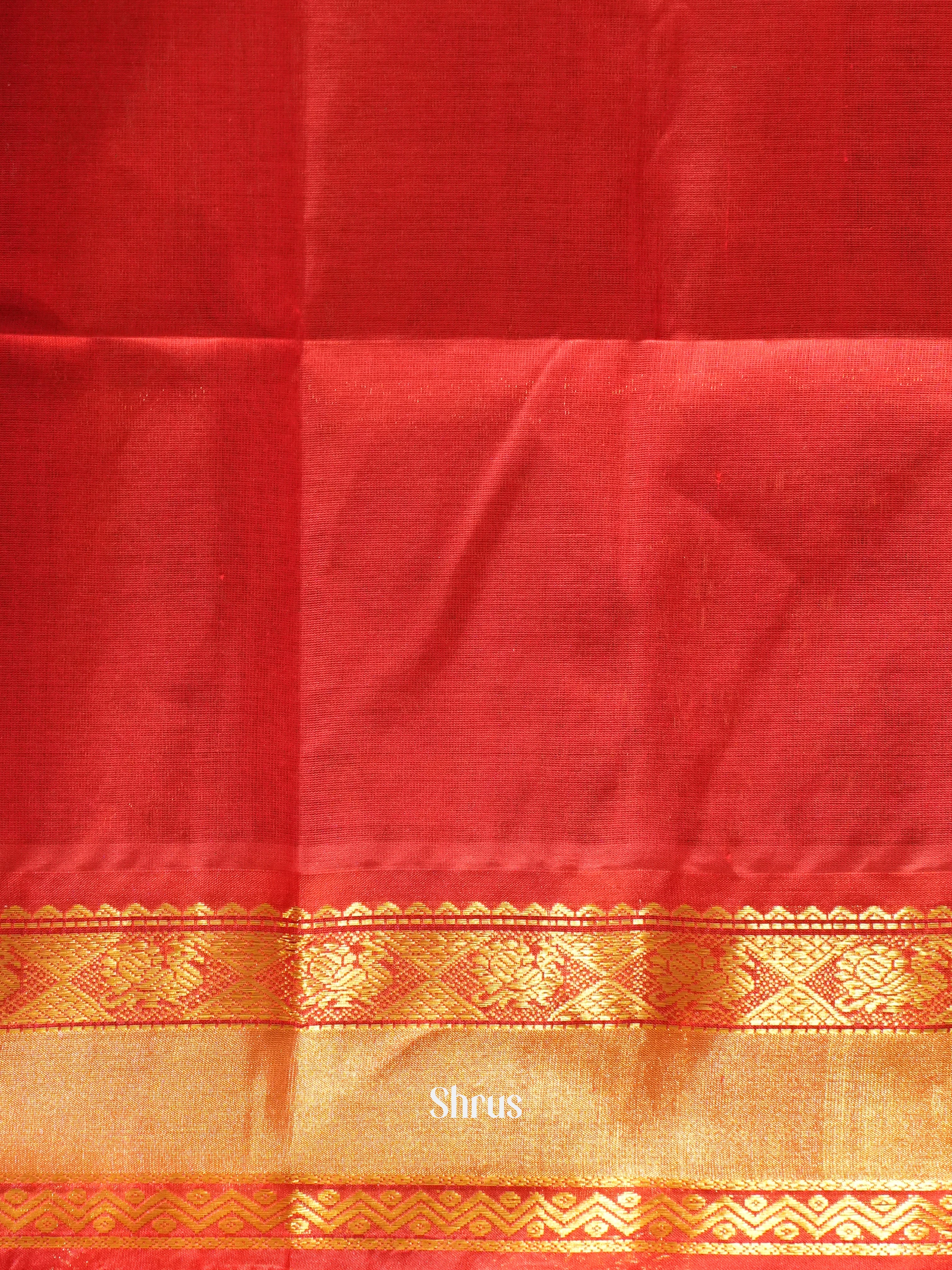 Blue & Red - Silk Cotton Saree - Shop on ShrusEternity.com