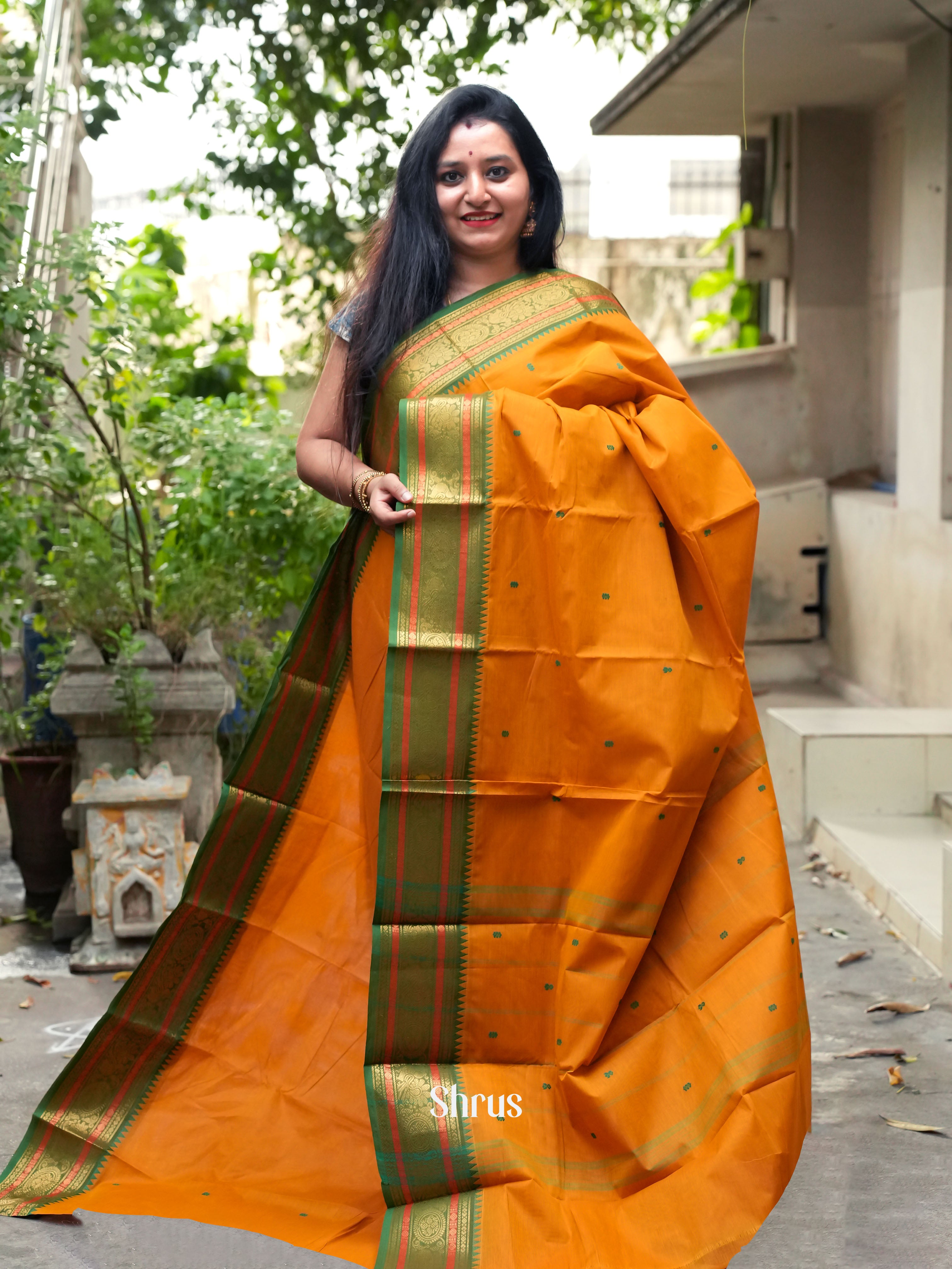 Mustard & Green - Chettinad Cotton Saree - Shop on ShrusEternity.com