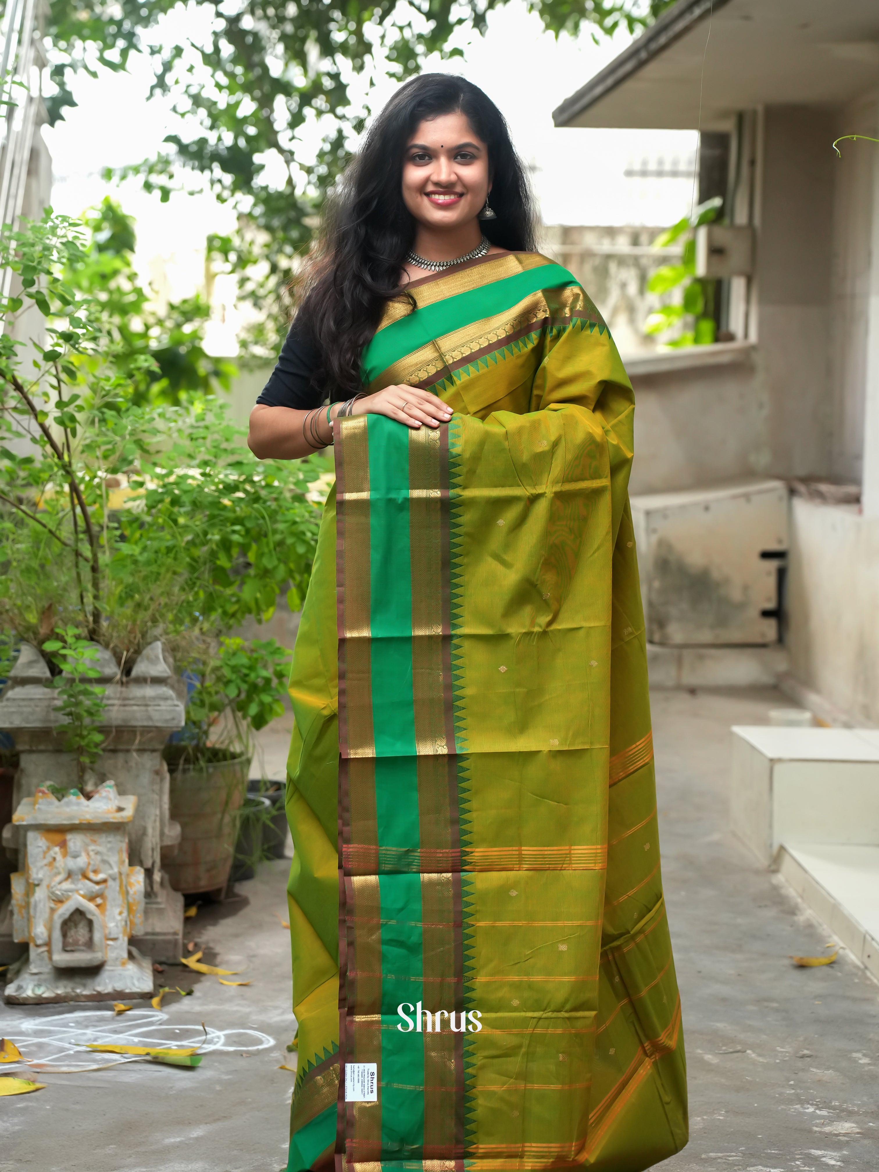 Light Green & Green -Chettinad Cotton Saree - Shop on ShrusEternity.com
