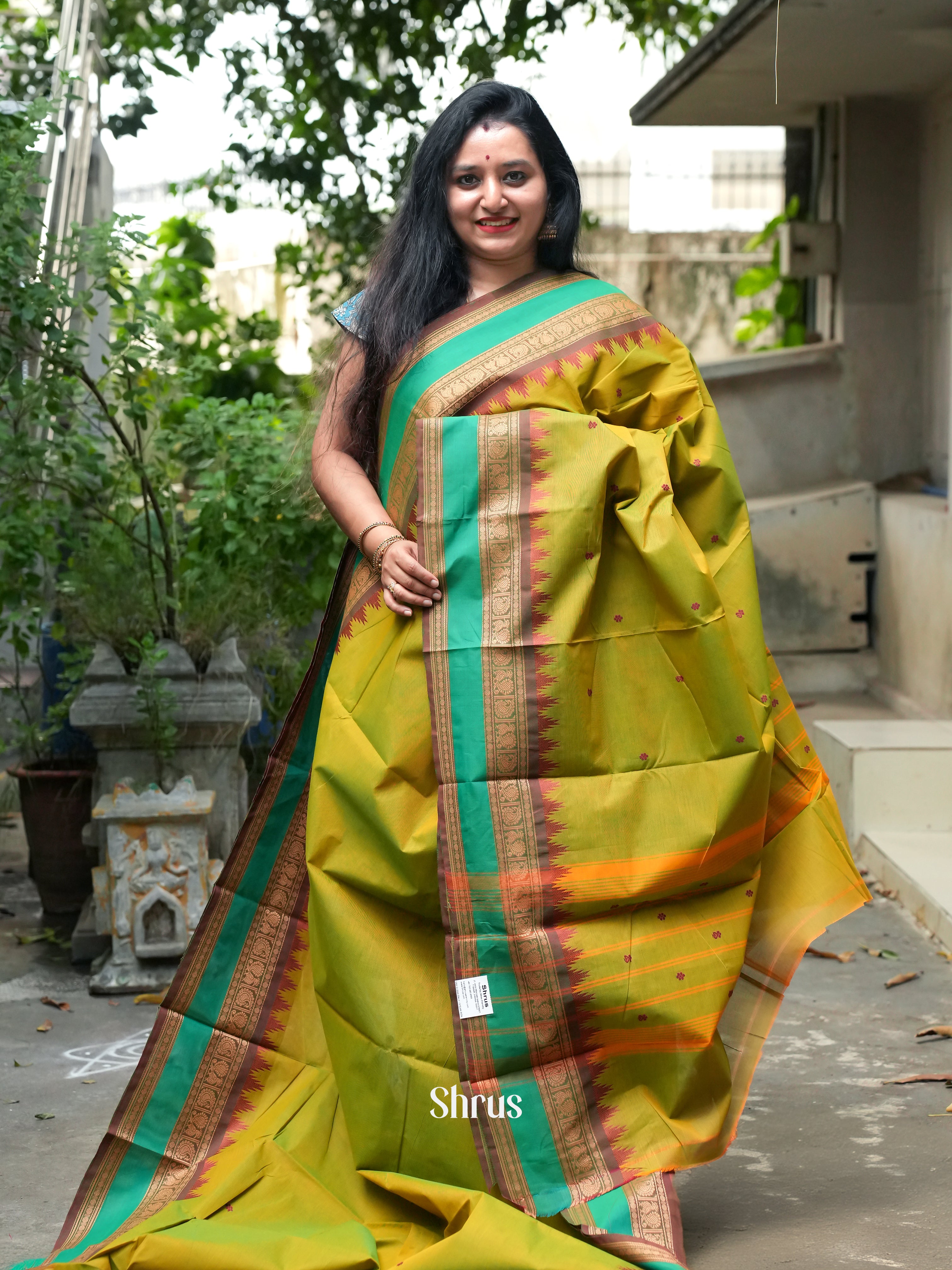 Mustardy Green & Brown - Chettinad Cotton Saree - Shop on ShrusEternity.com