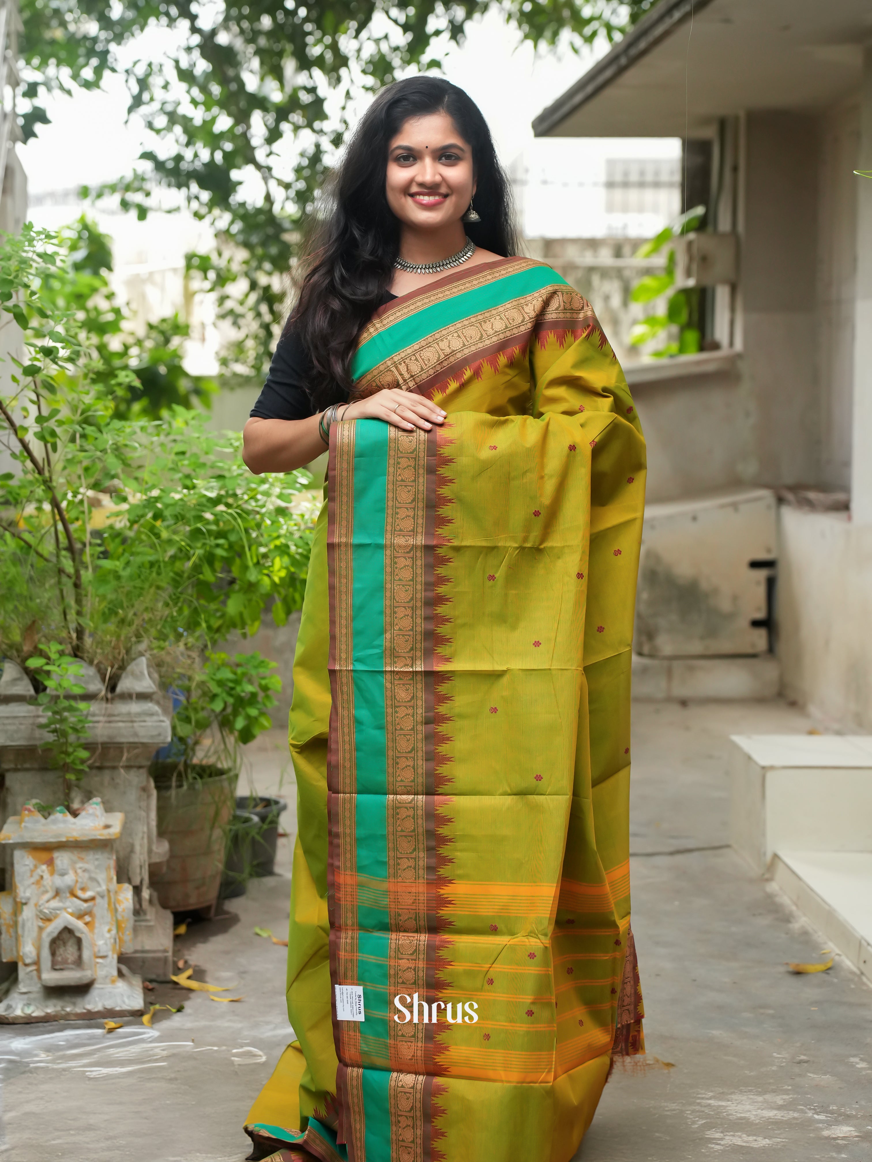 Mustardy Green & Brown - Chettinad Cotton Saree - Shop on ShrusEternity.com