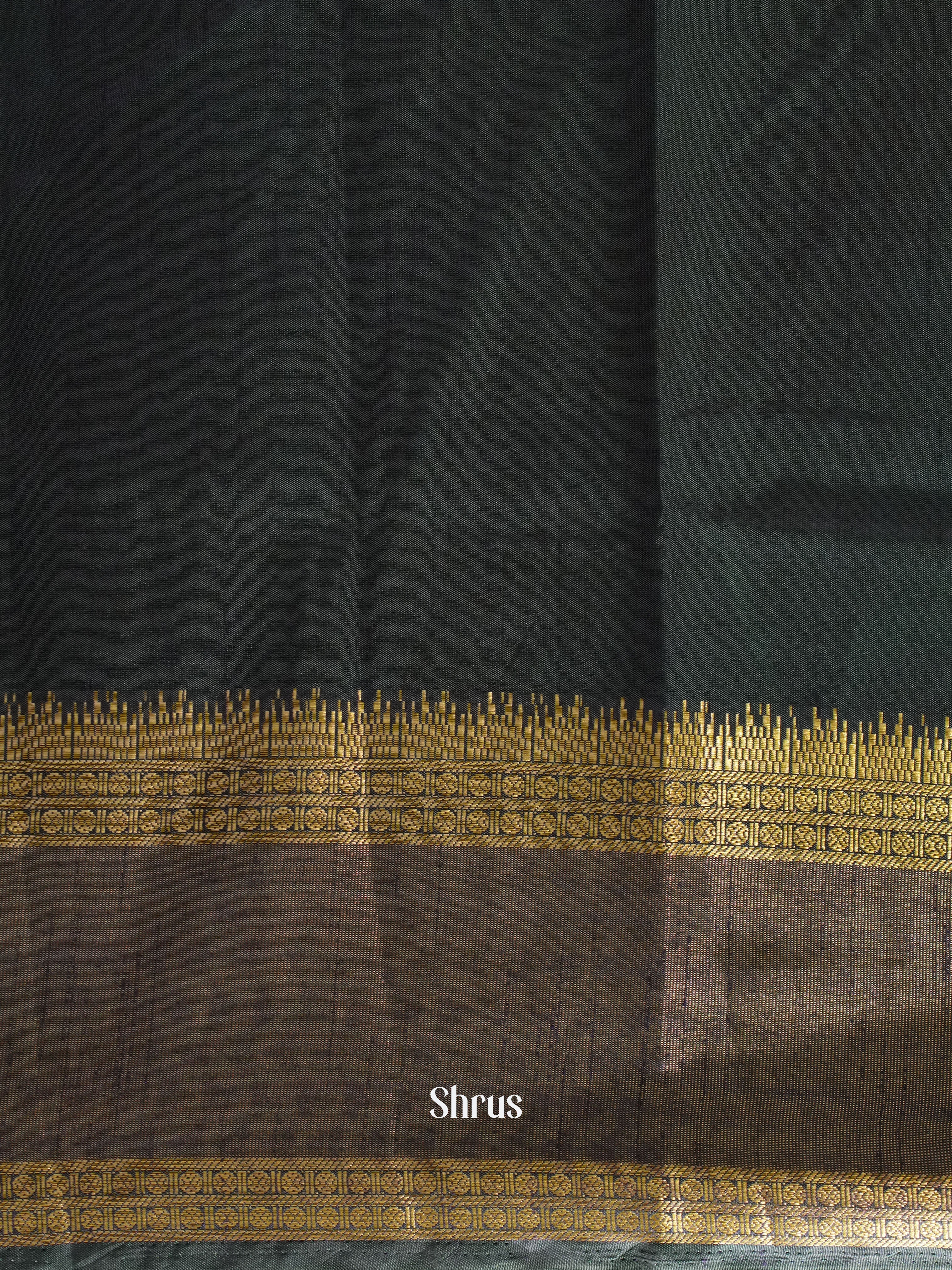 Green & Blue- Semi Patola - Shop on ShrusEternity.com