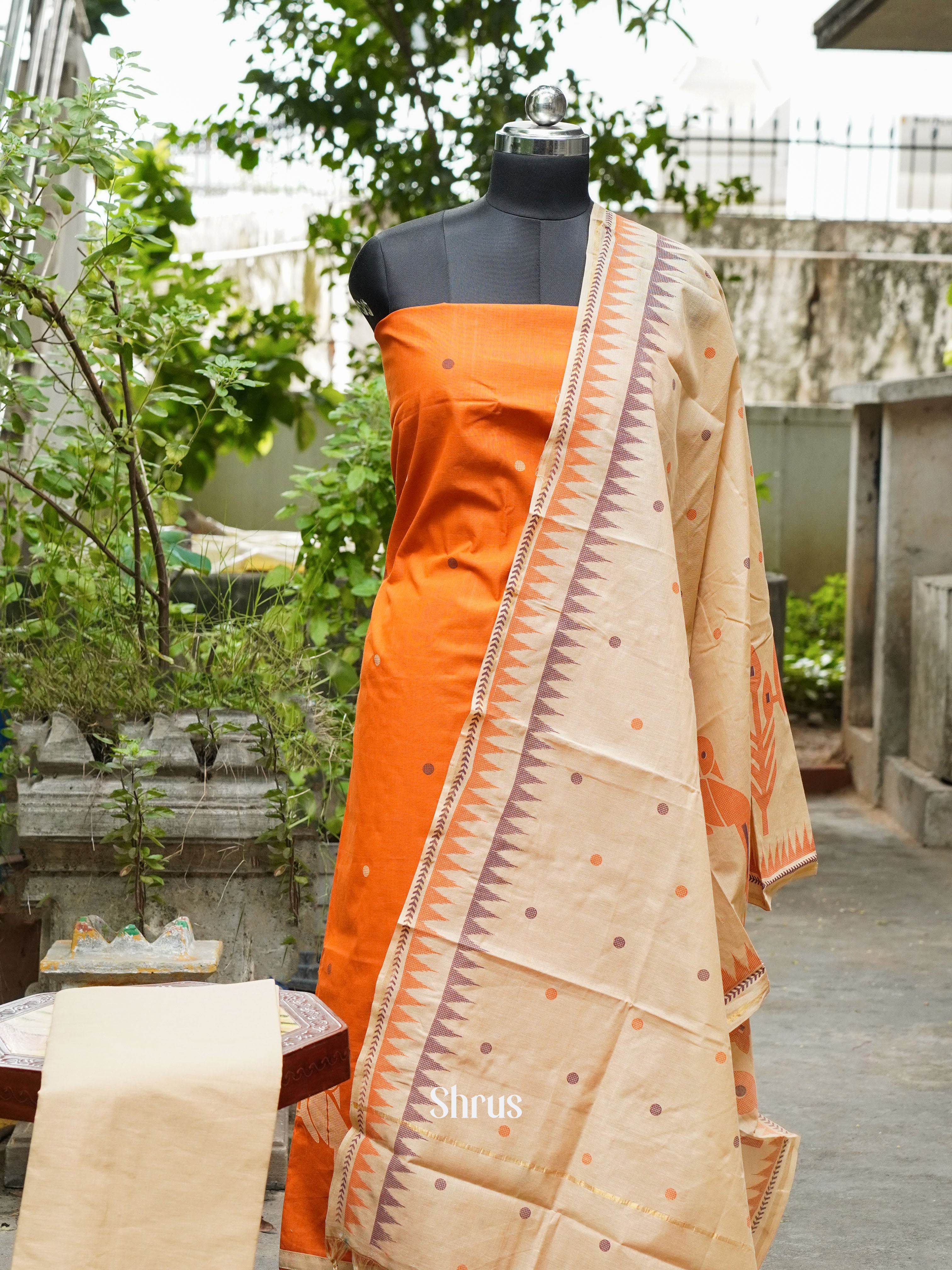 Orange & Cream - Cotton salwar - Shop on ShrusEternity.com