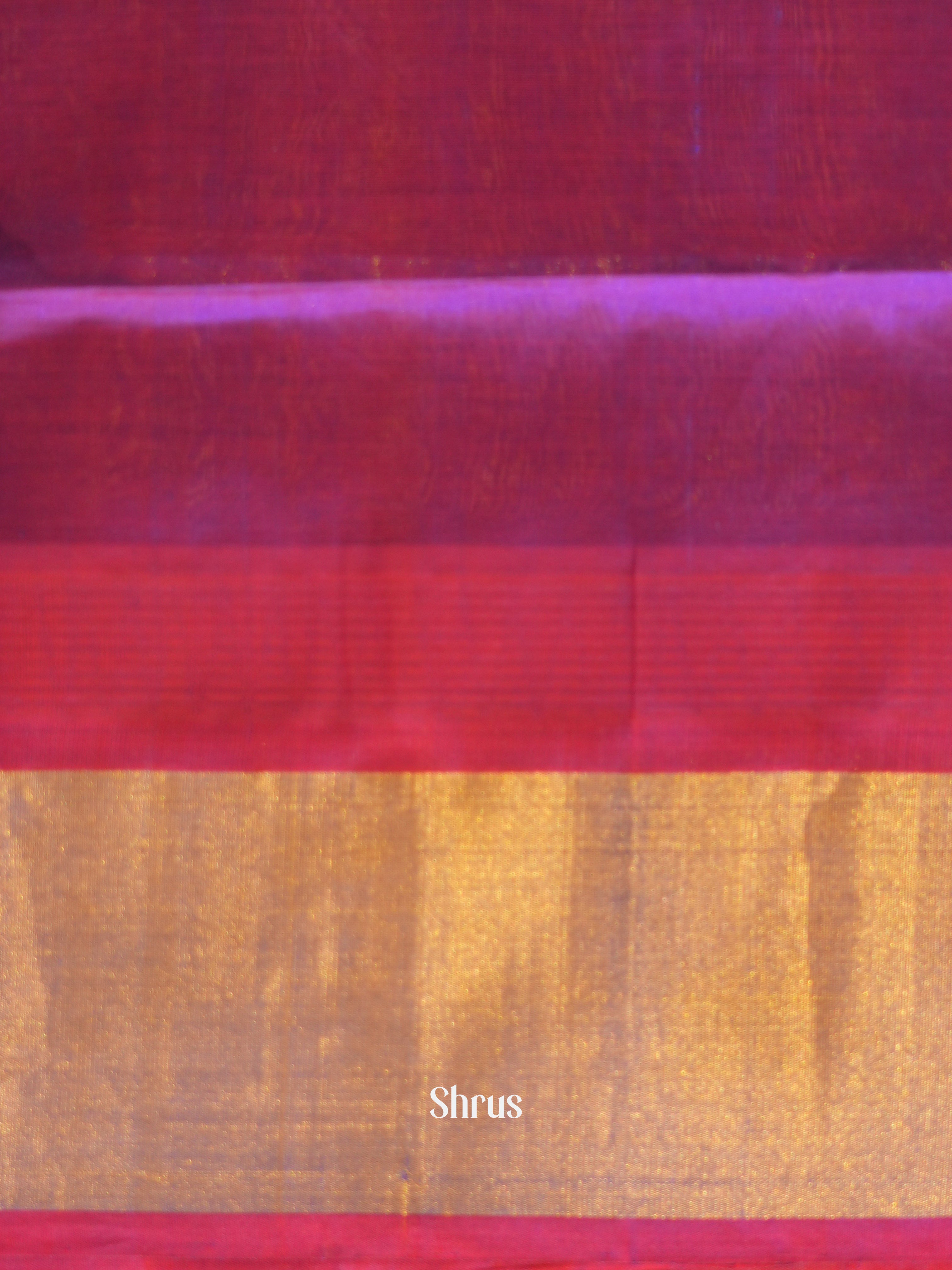 CFS28005 - Silk Cotton Saree - Shop on ShrusEternity.com