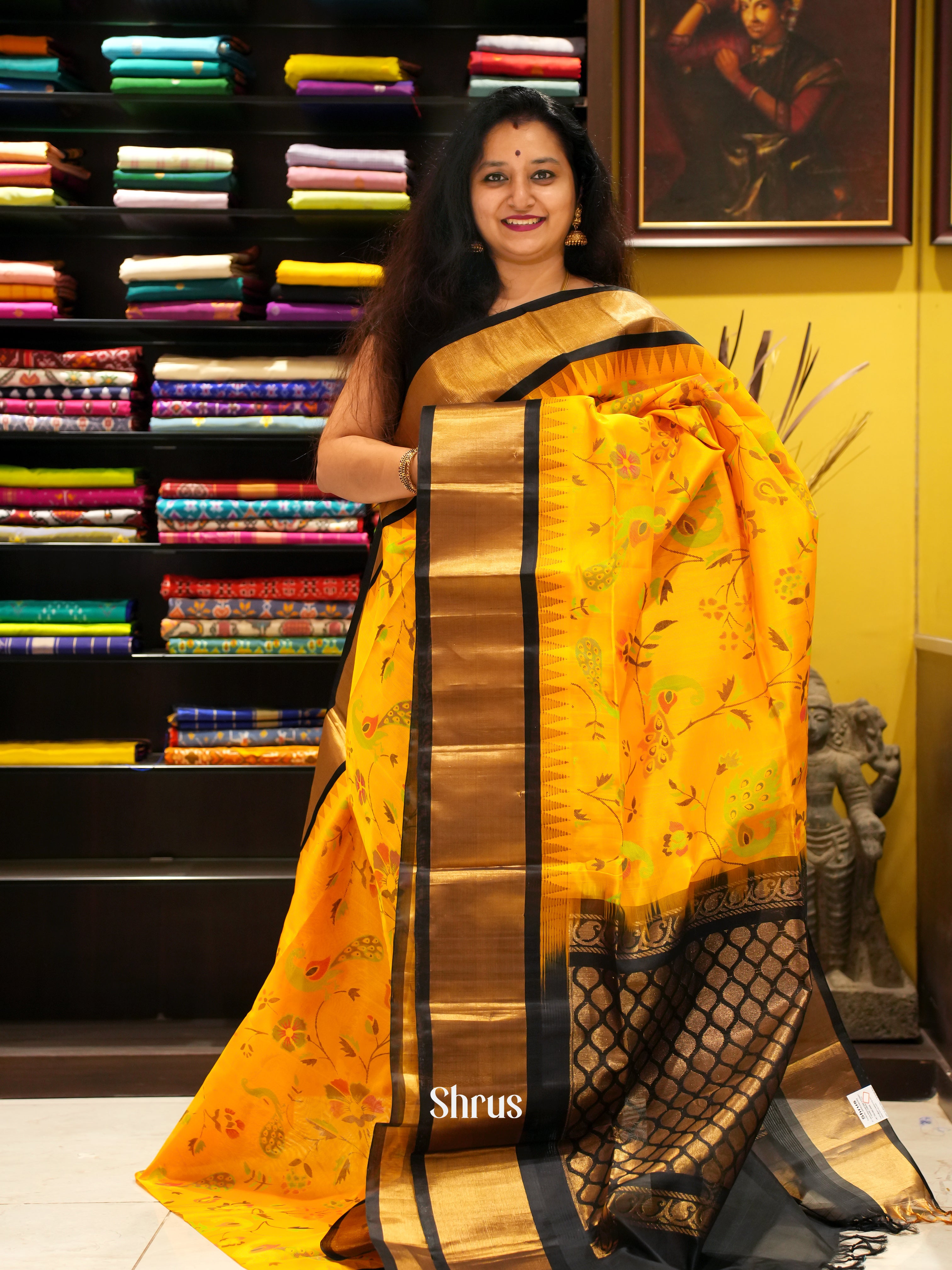 CFS28009 - Silk Cotton Saree - Shop on ShrusEternity.com