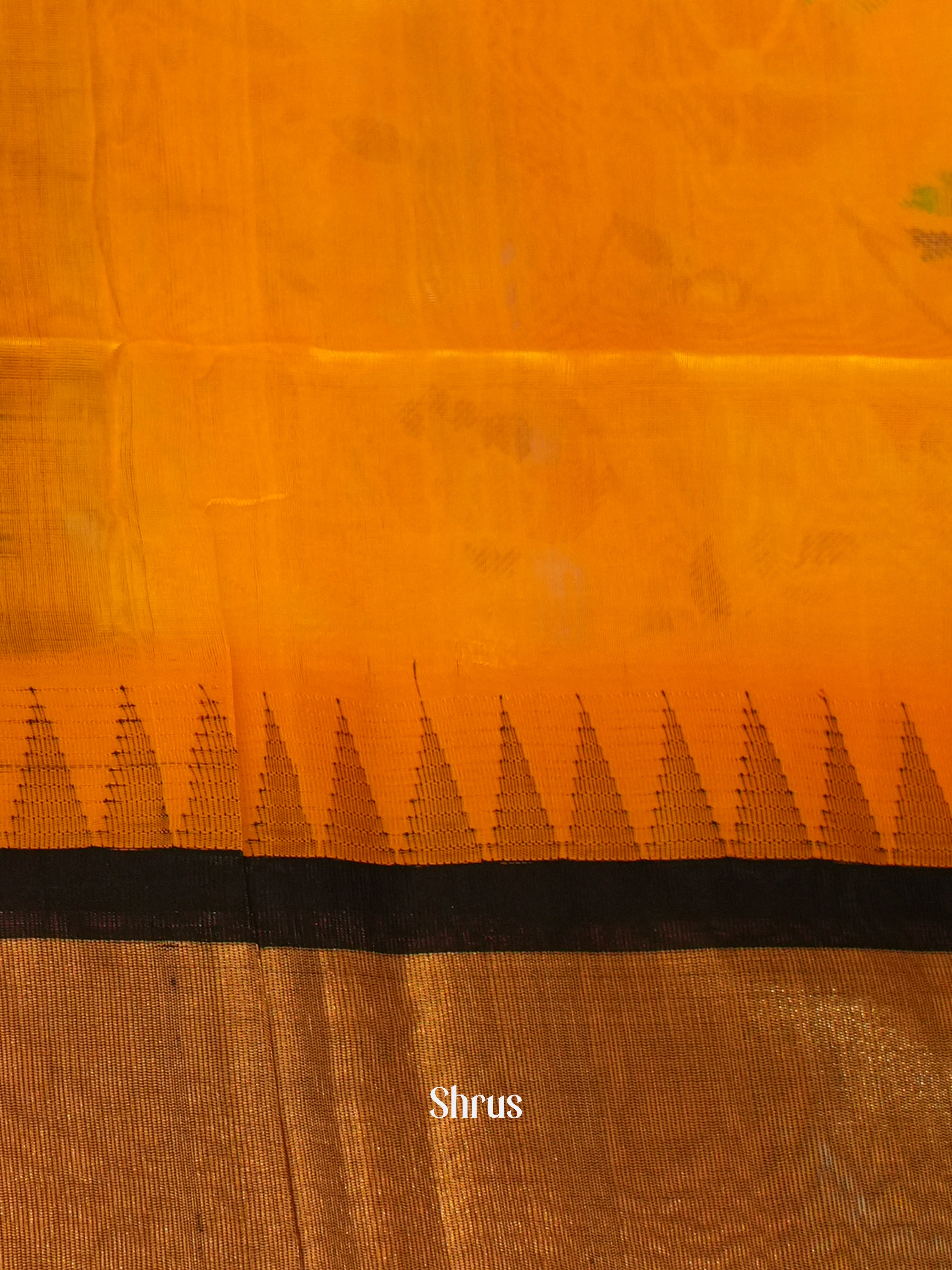 CFS28009 - Silk Cotton Saree - Shop on ShrusEternity.com