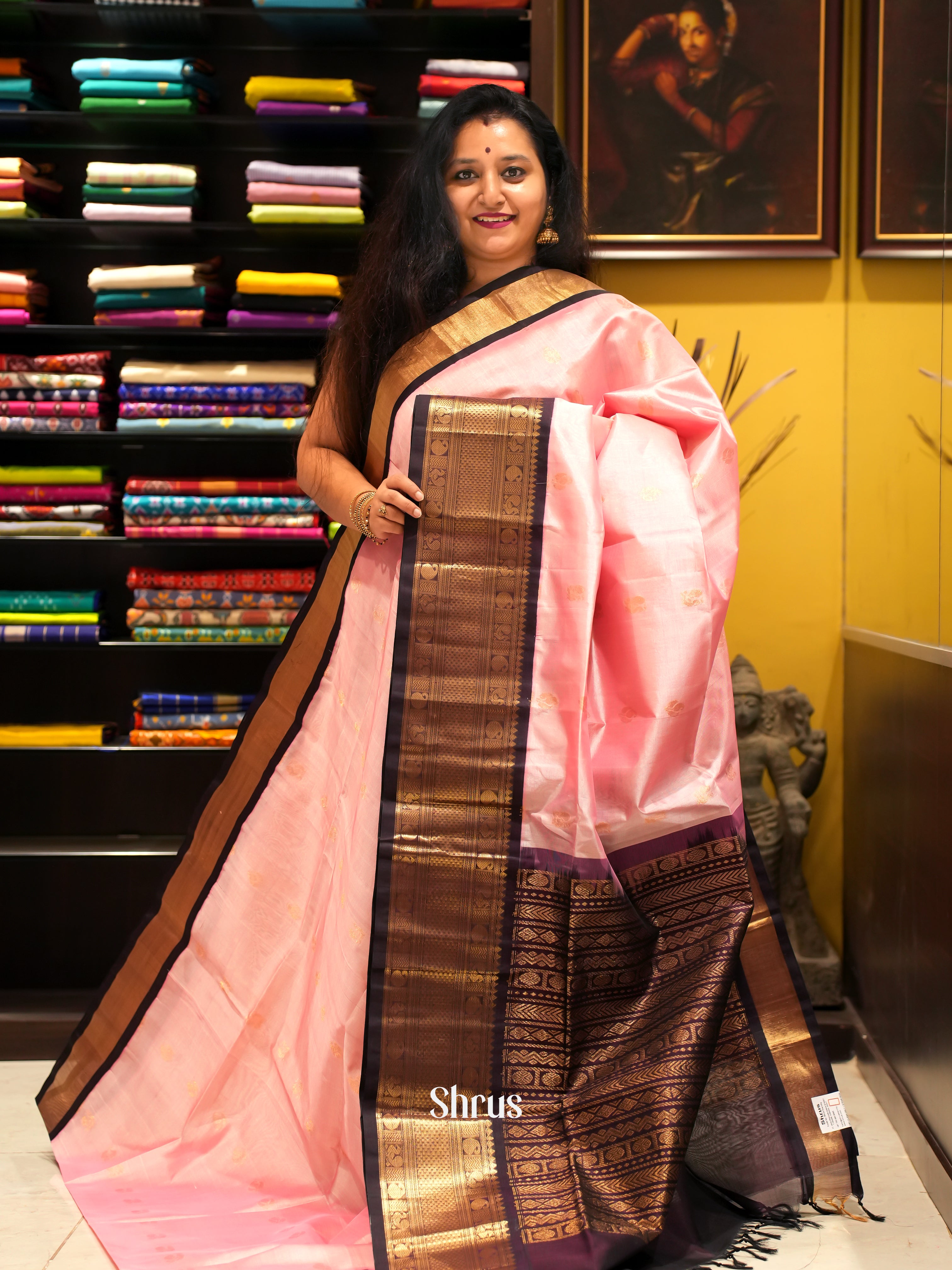 Pink & Brown - Silk Cotton Saree - Shop on ShrusEternity.com